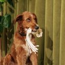 Macrame Rope Dog Toys: 2-Pack