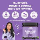 Adults Elderberry Immunity (Organic)