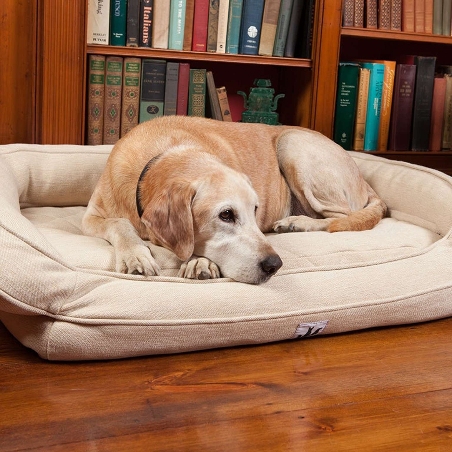 Memory Foam Dog Bed