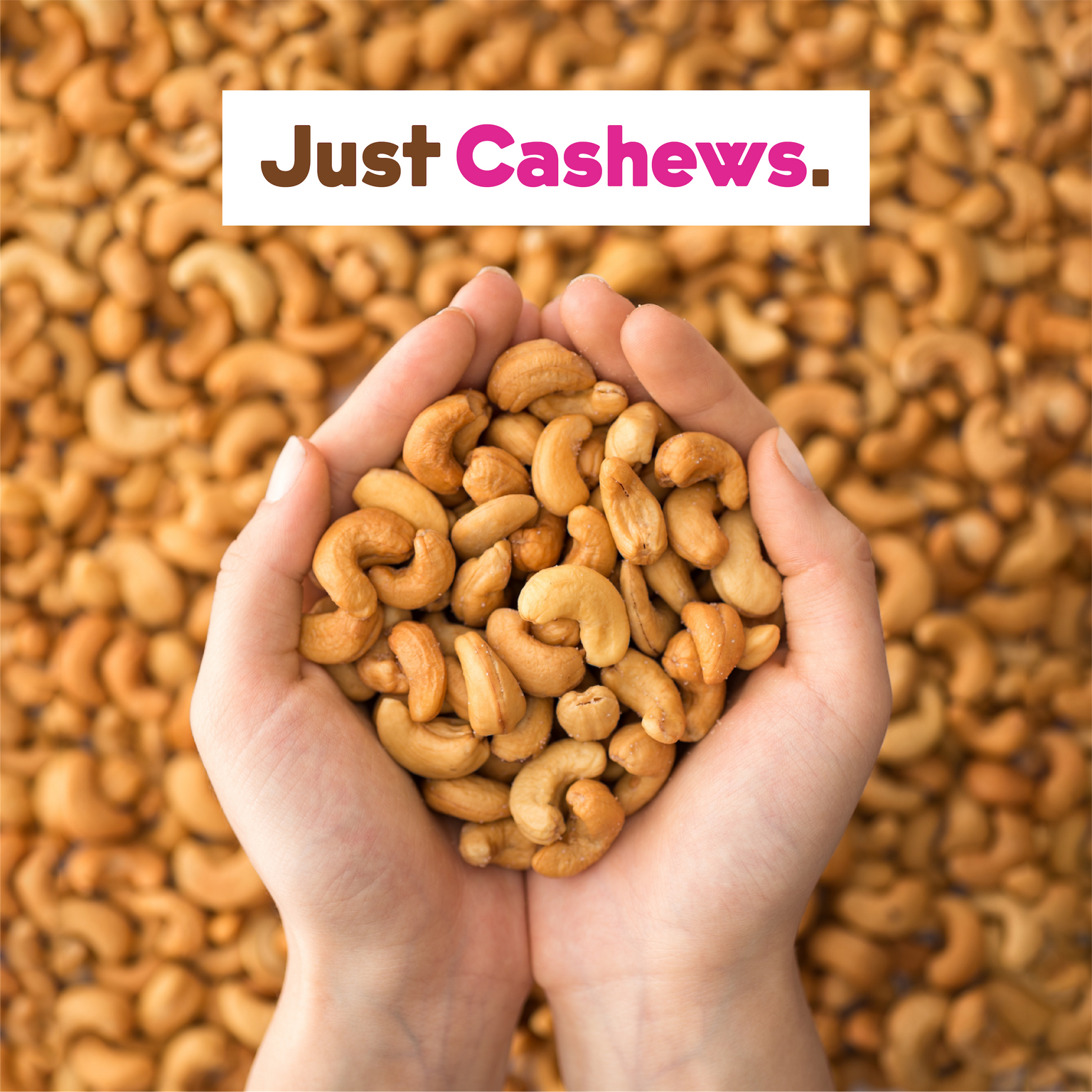 Cashew Milk Base 2-Pack