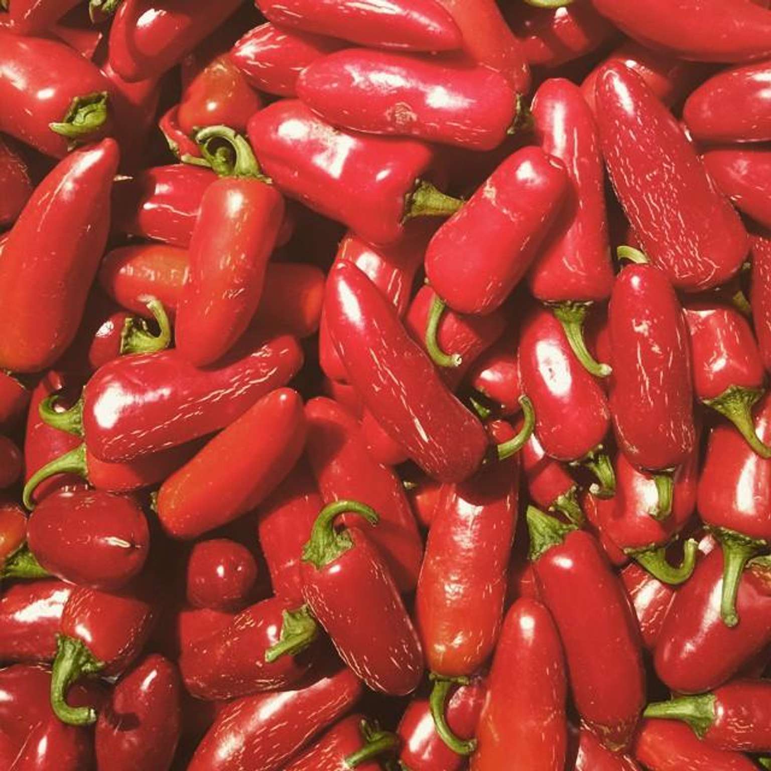 Smoked Chipotle Chili Flakes