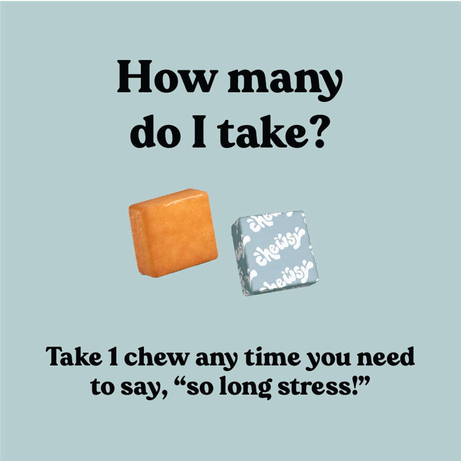 Chewsy So Long Stress