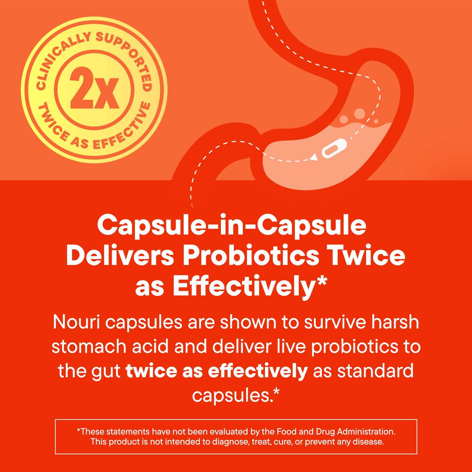 Digestive Health Probiotic