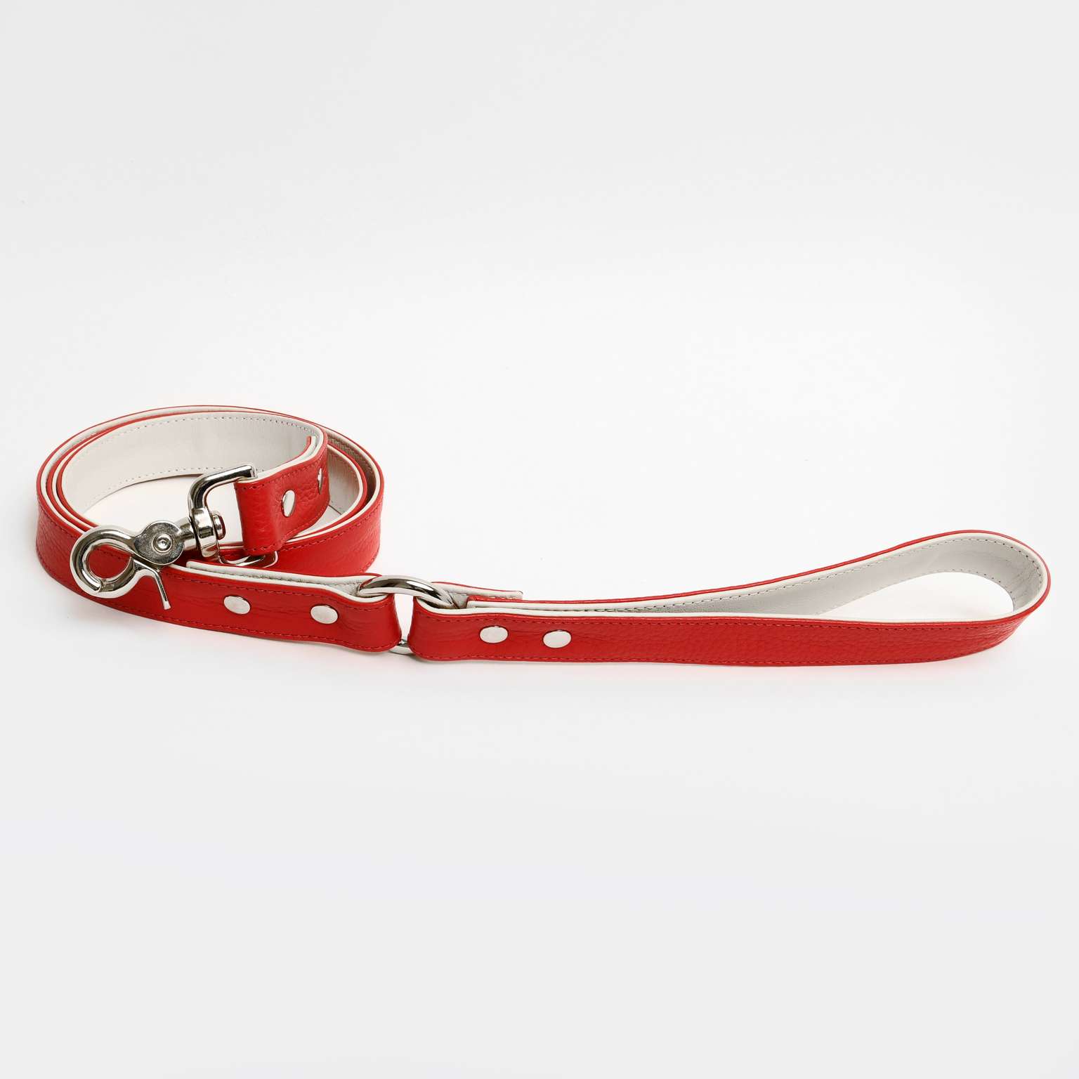 Raleigh Leash