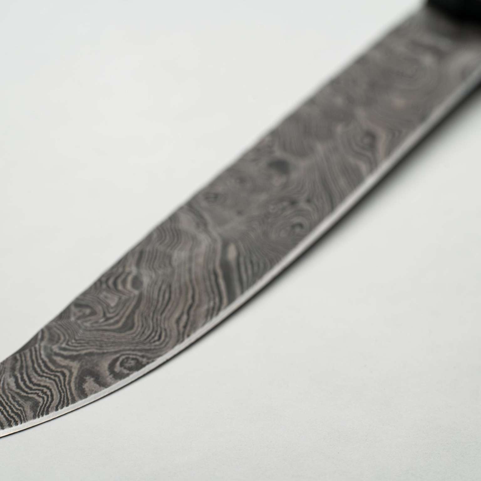 Dahlia Carver V1