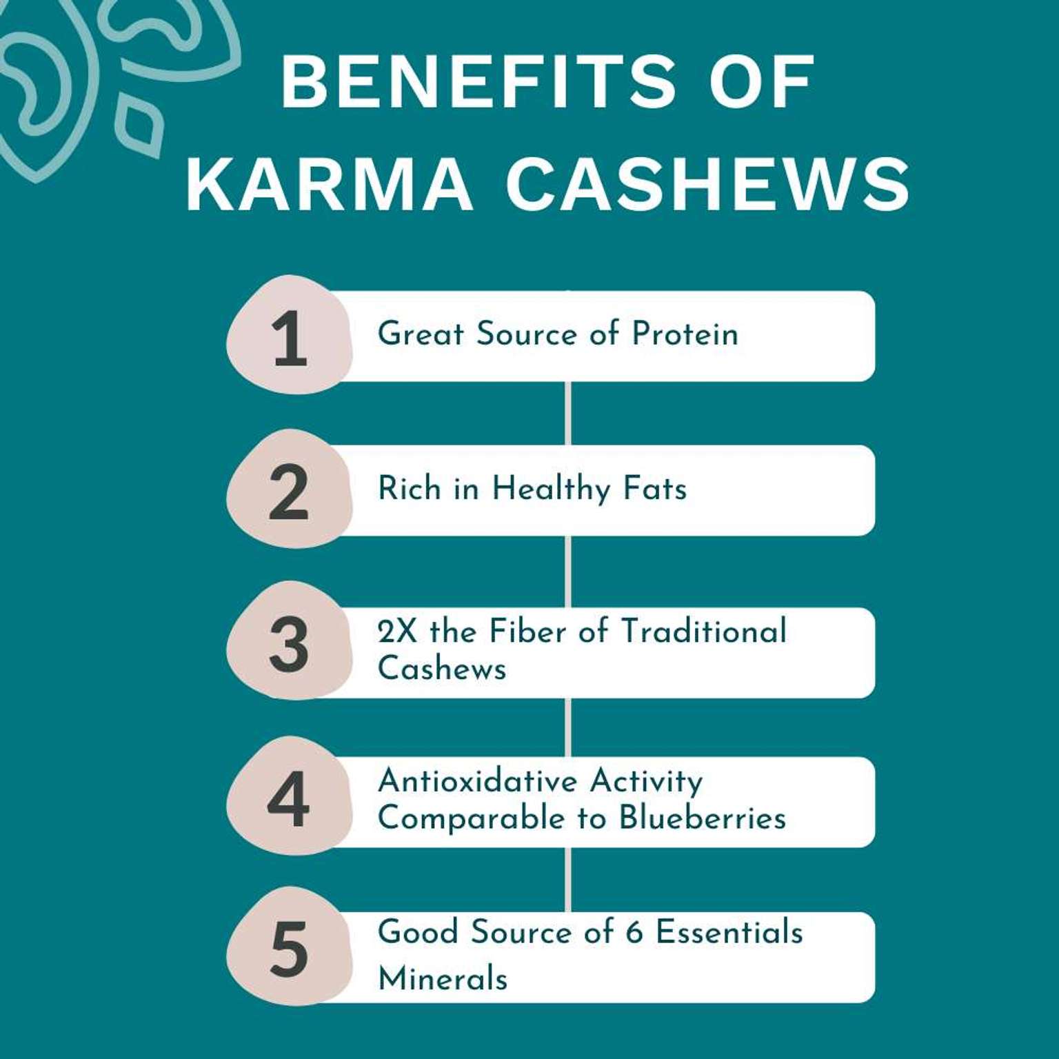 Organic Raw Cashews