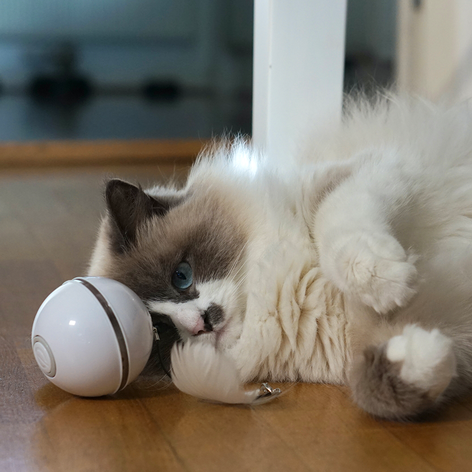 Blazing Ball