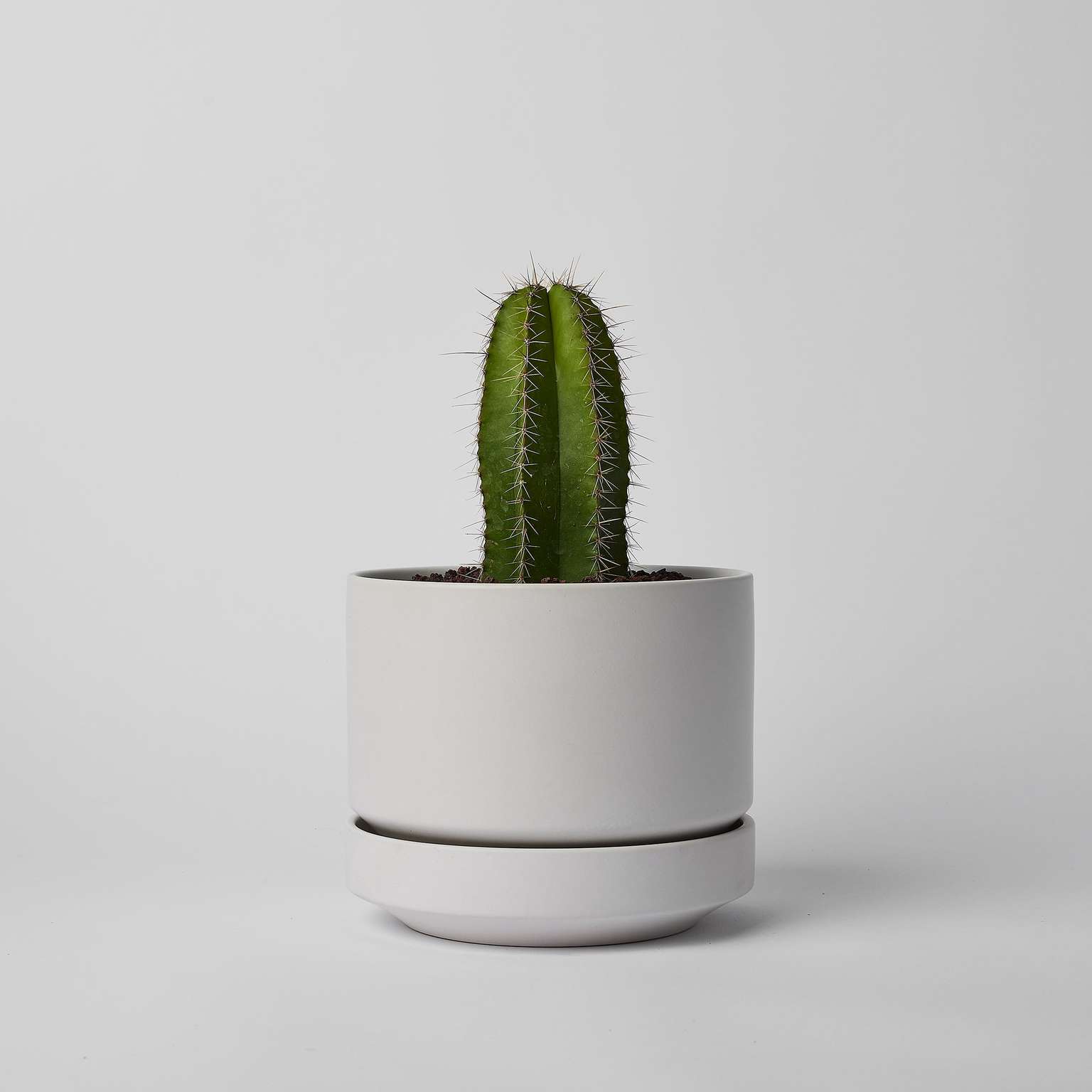 Round Two - 6 Inch Planter