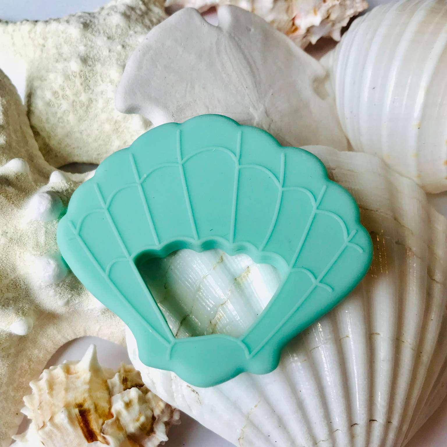 Sea Shell Teething Toy