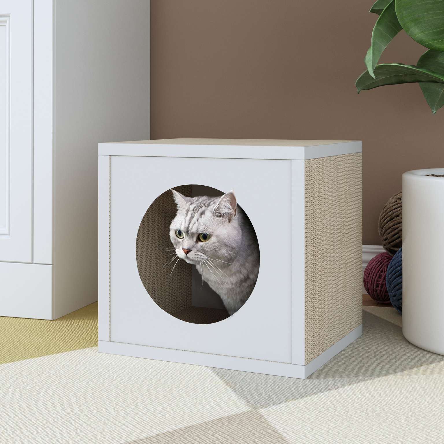 Boxy Scratcher