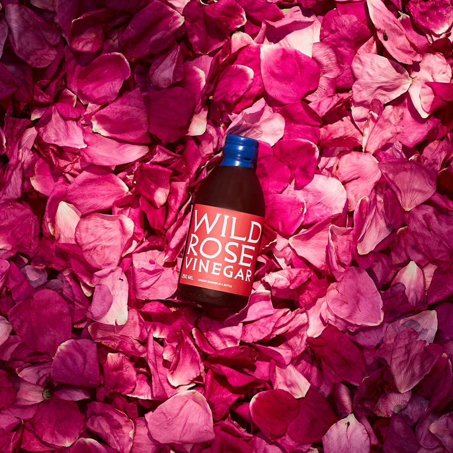 Wild Rose Vinegar