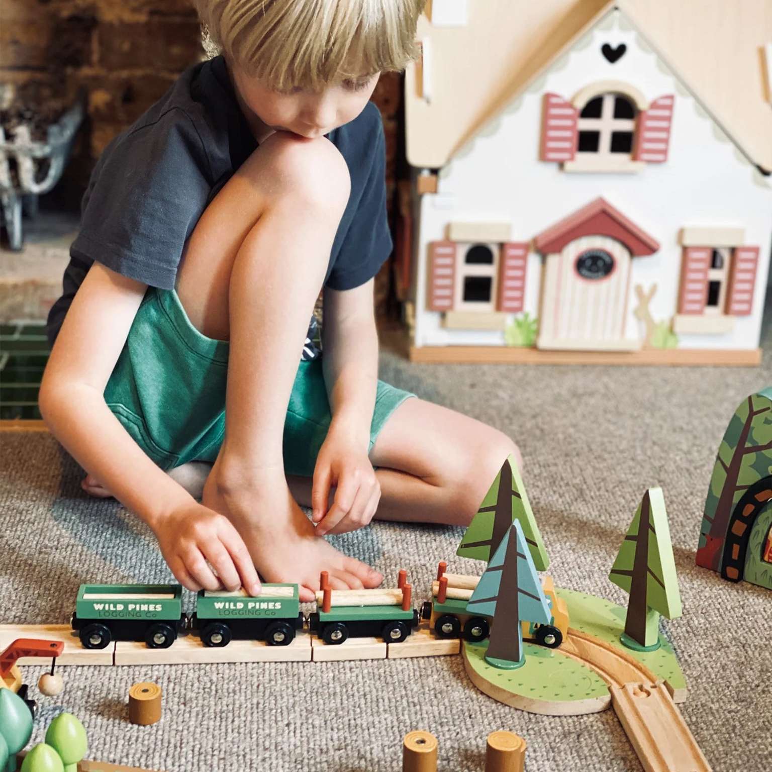 Wild Pines Train Set