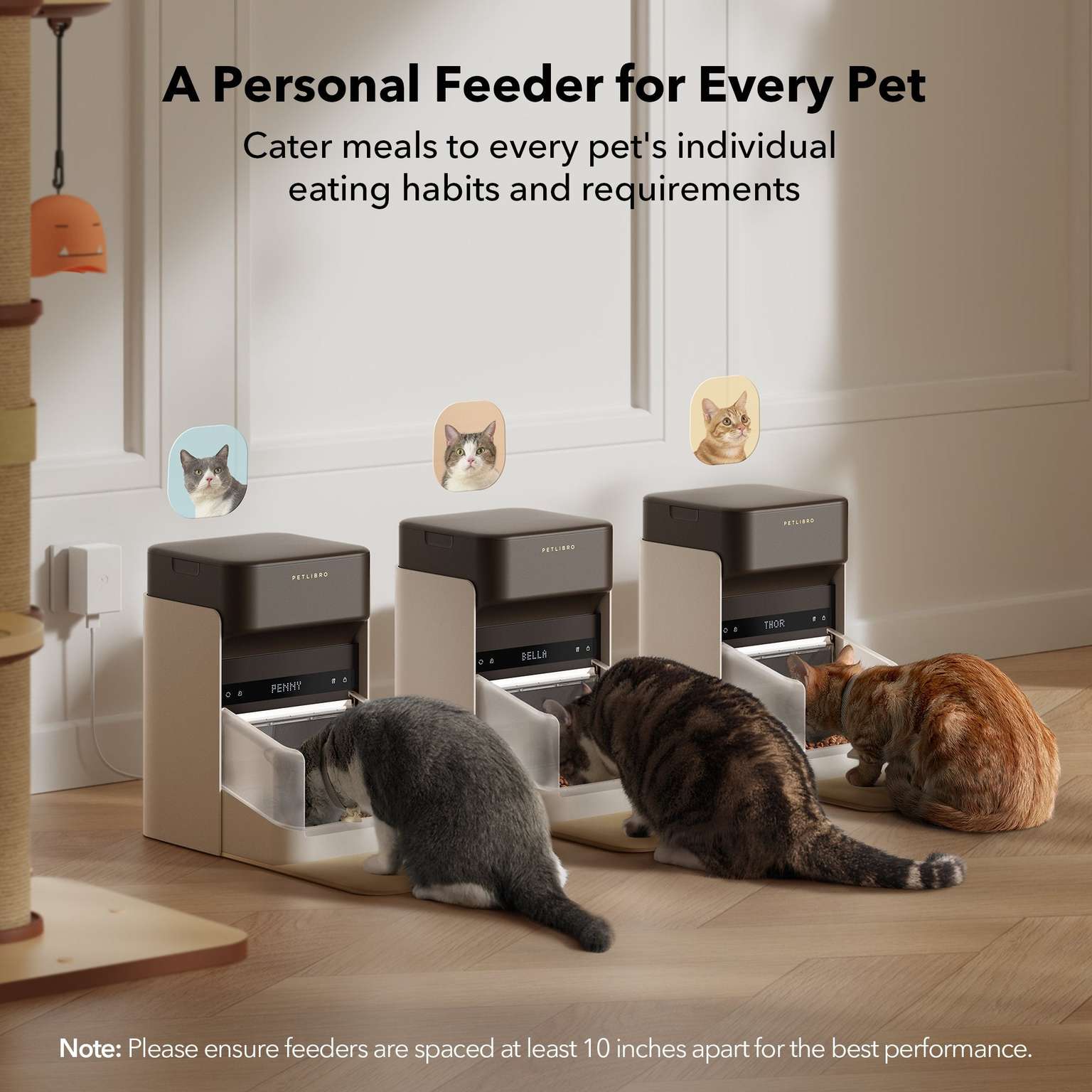 RFID Smart Feeder & Smart Fountain Bundle