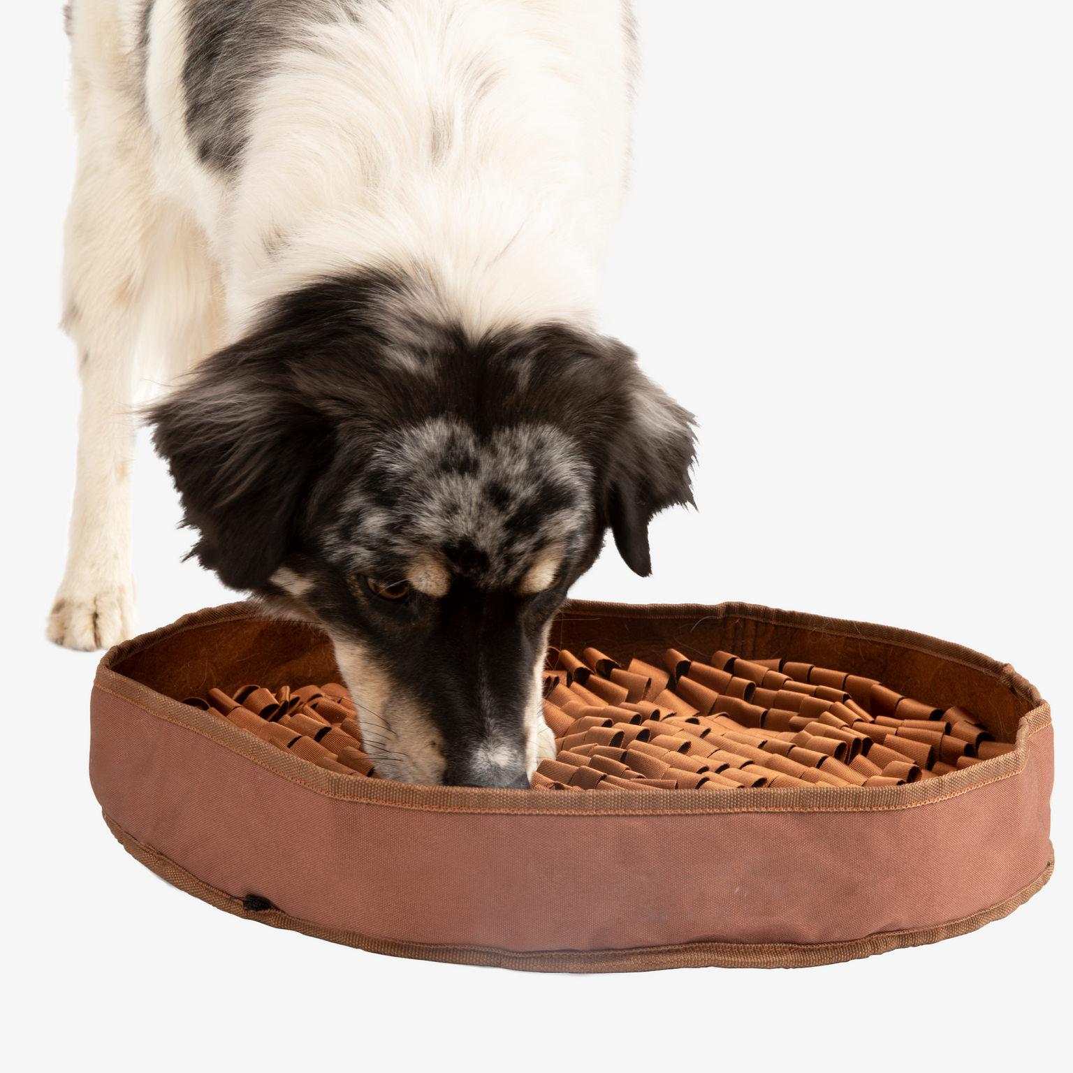 Stimulating Feeder Mat
