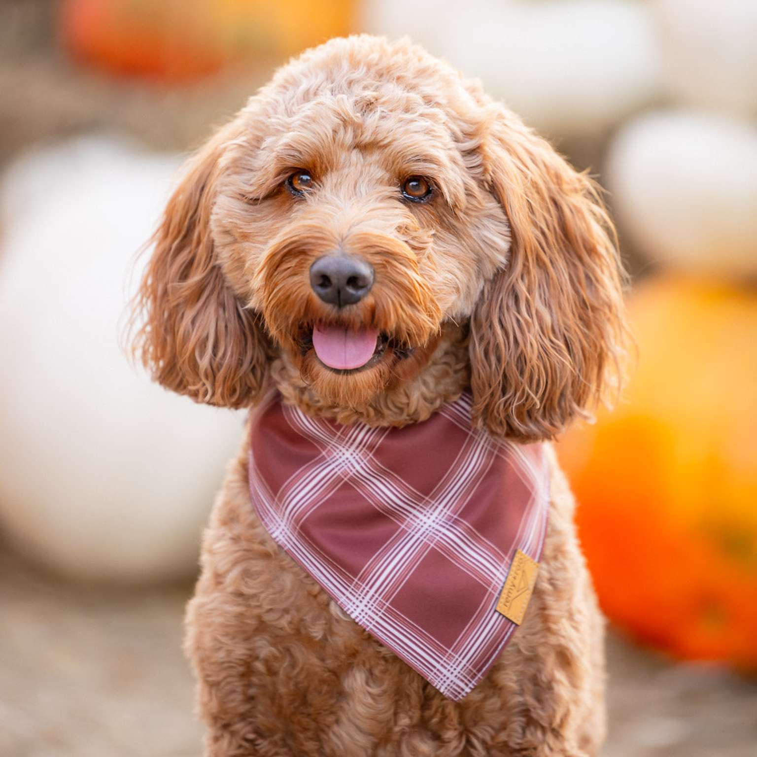 Spice Plaid