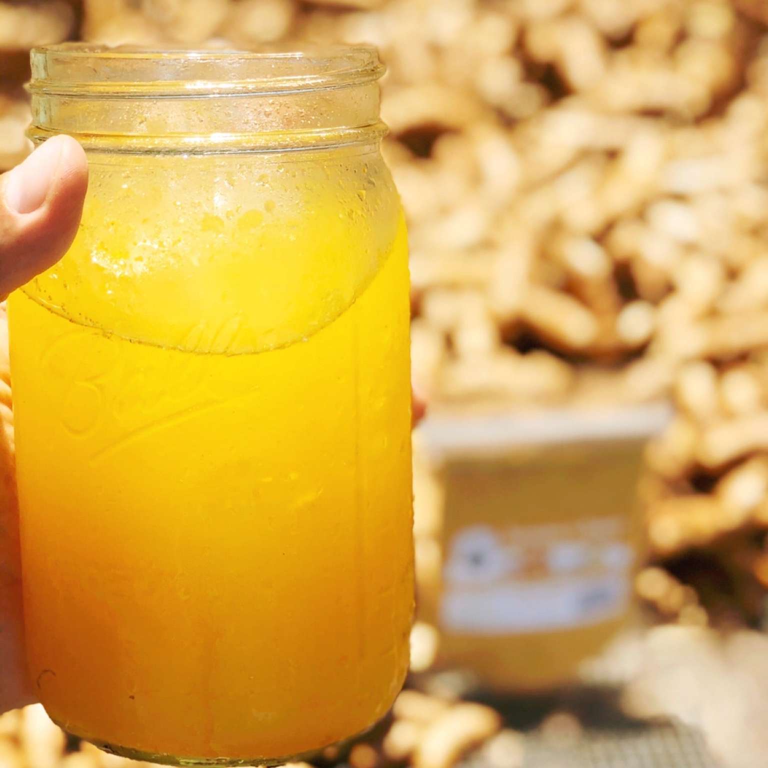 Turmeric & Ginger blend 50/50
