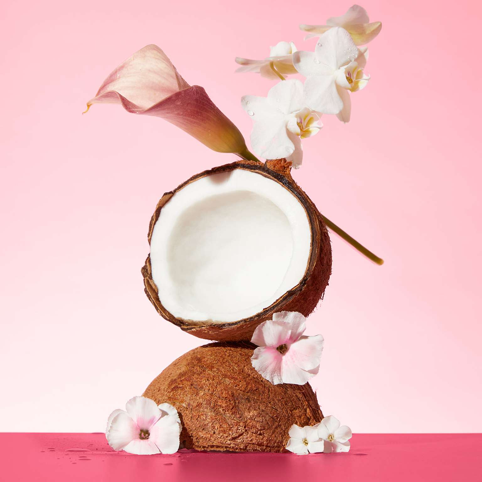 Pink Beach - Body Lotion