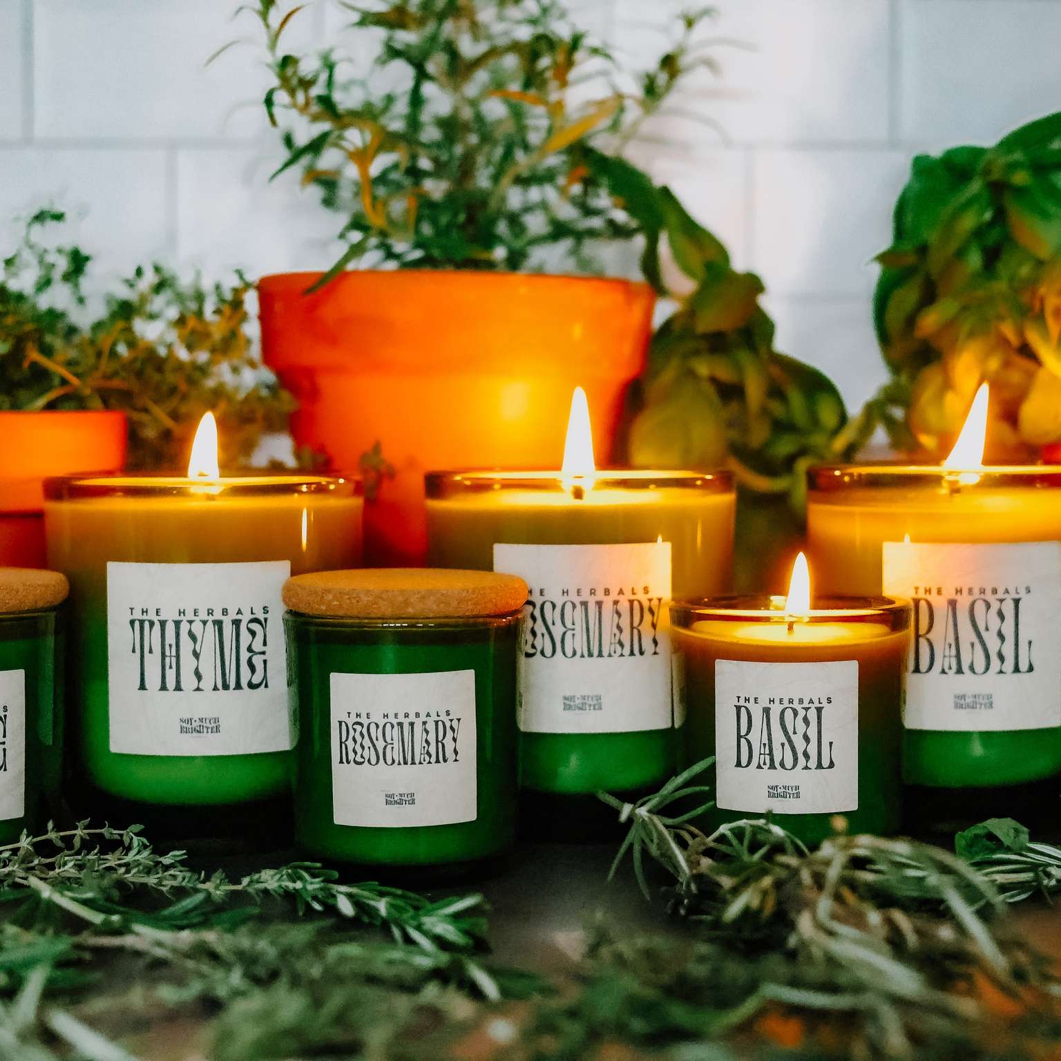 Thyme Herbals Collection Large