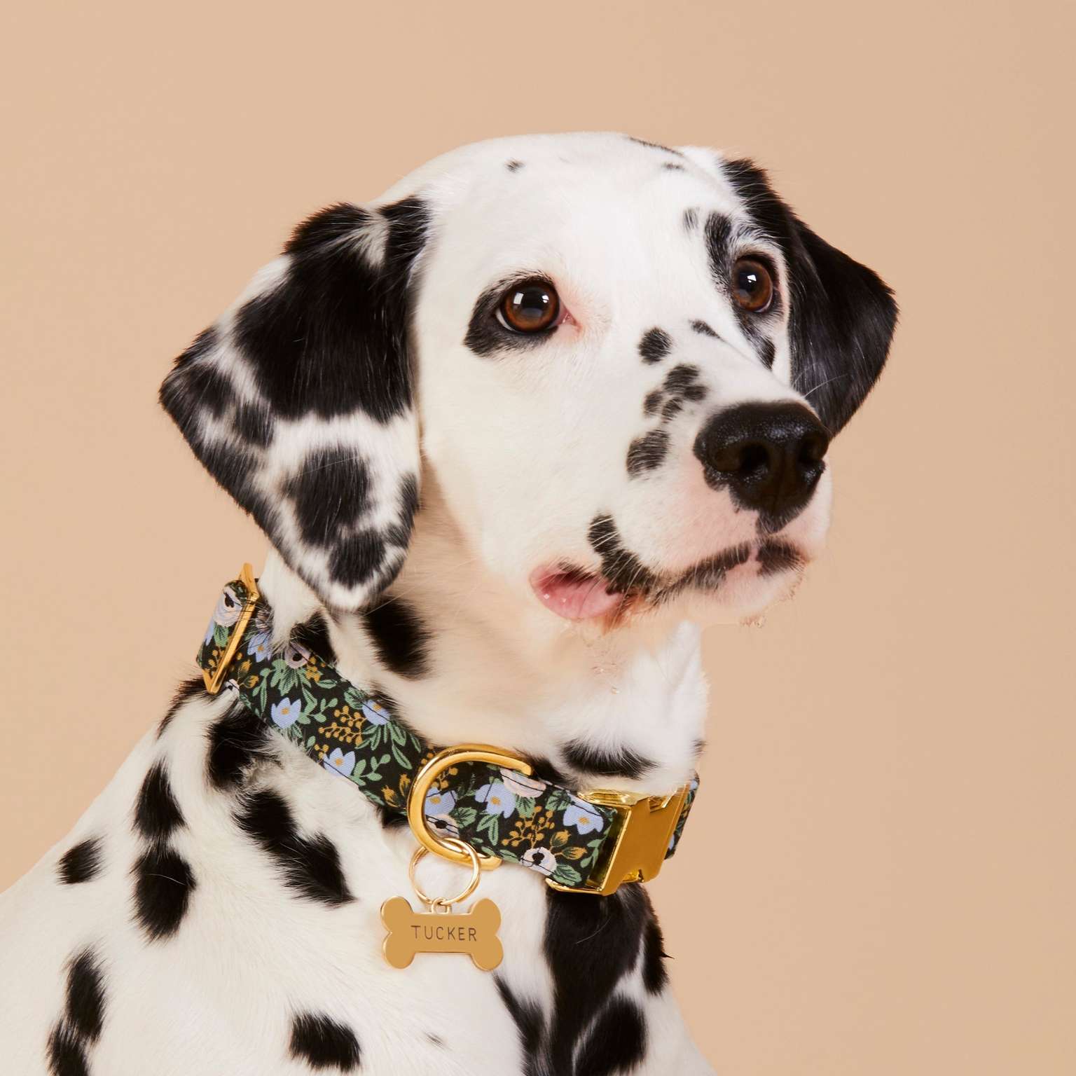 Bone Pet ID Tag
