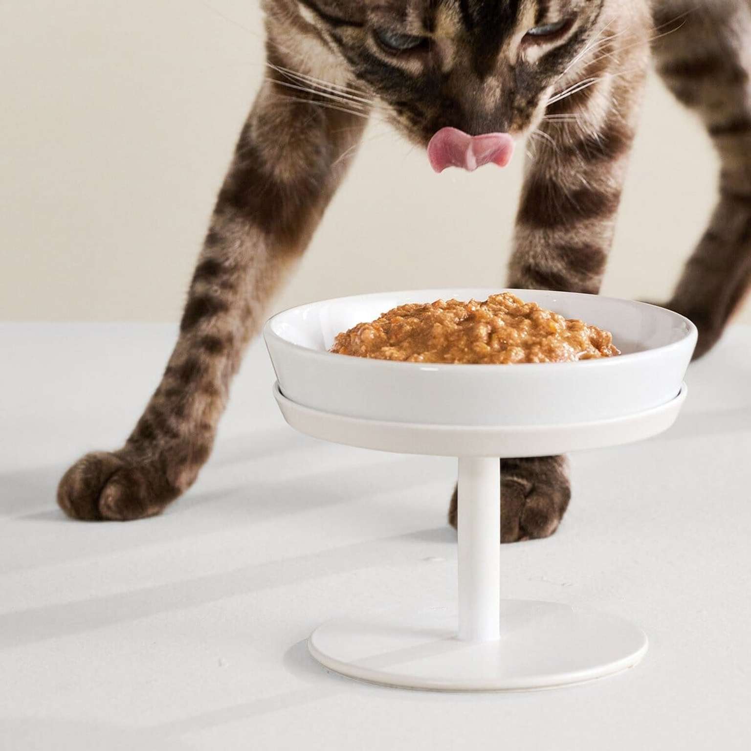 Really Great Cat Food