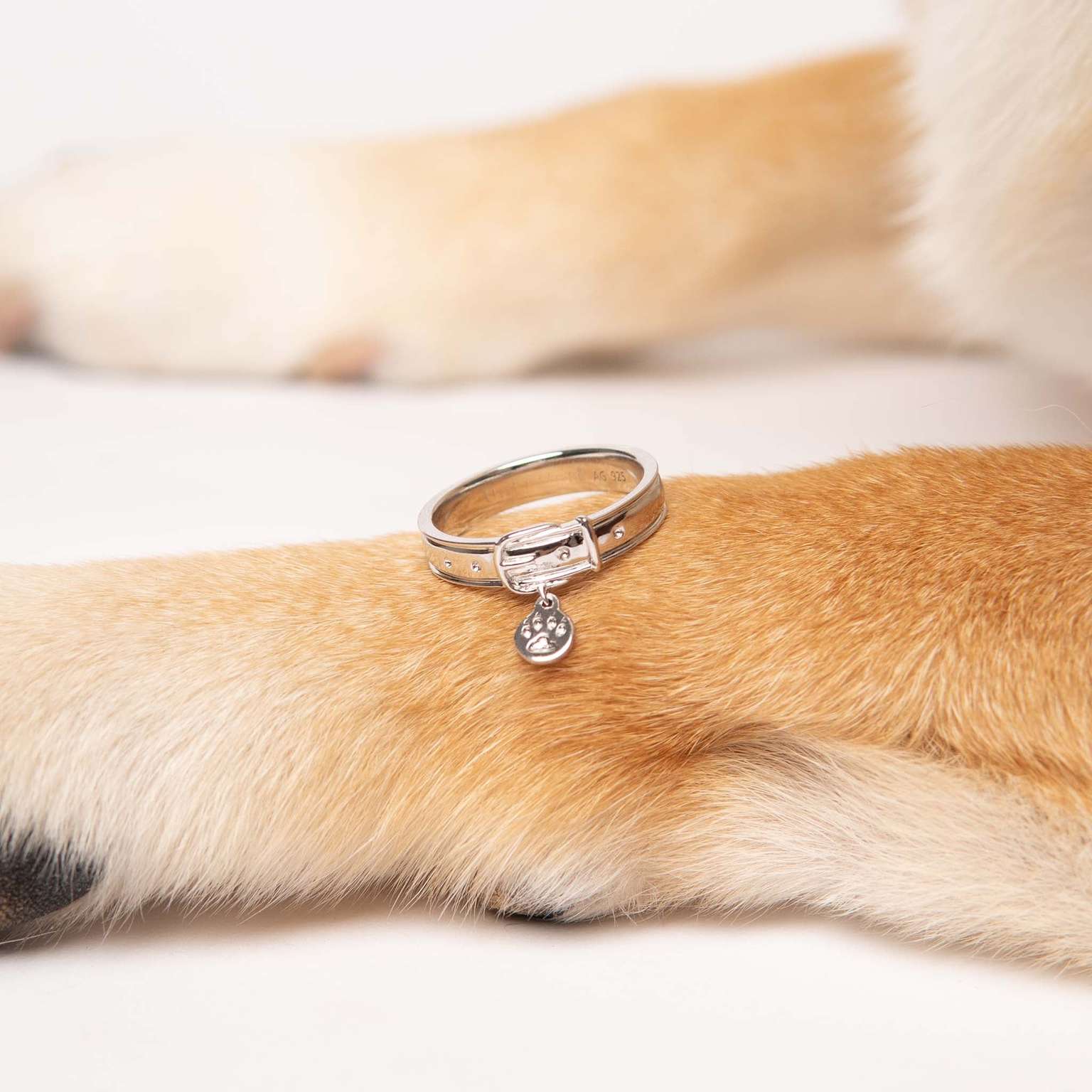 Collar Ring - s925