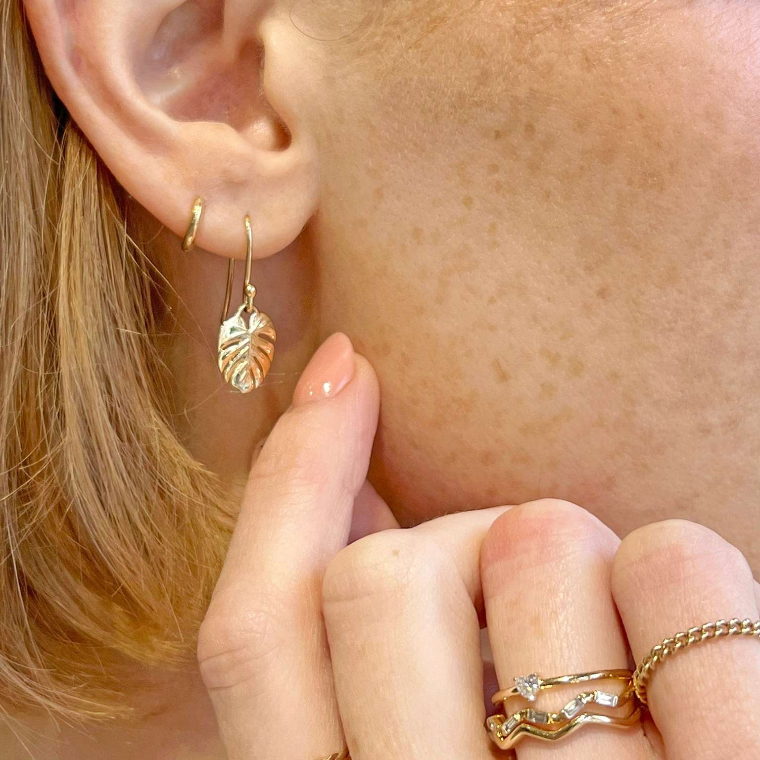 Monstera Dangles