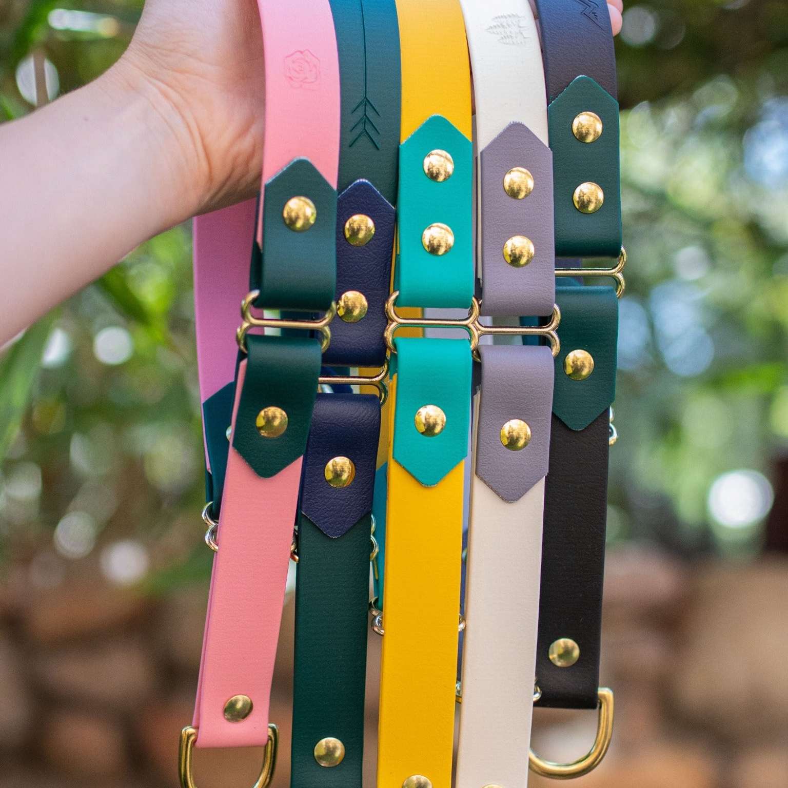 *Mystery Collar*