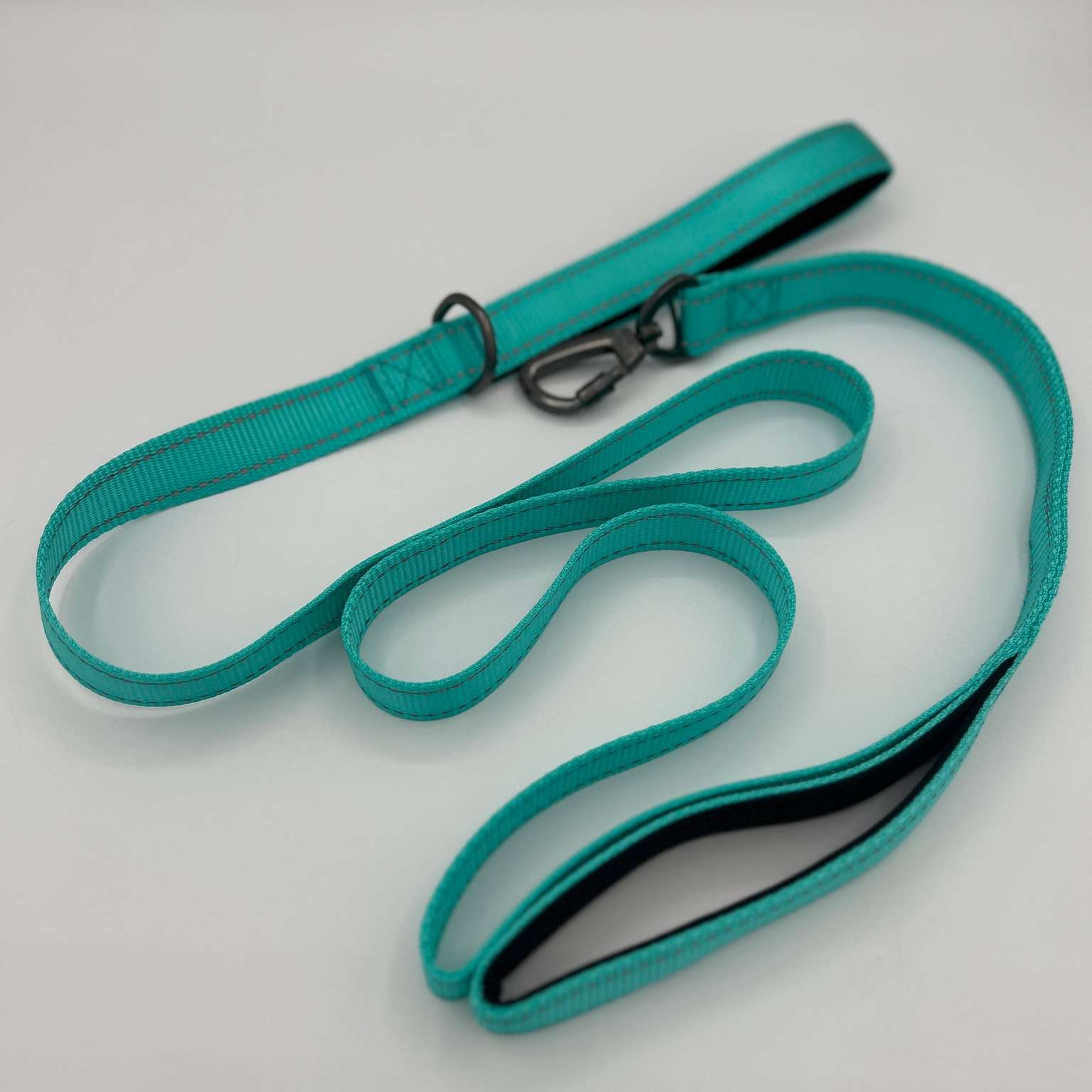 Double handle nylon dog leash