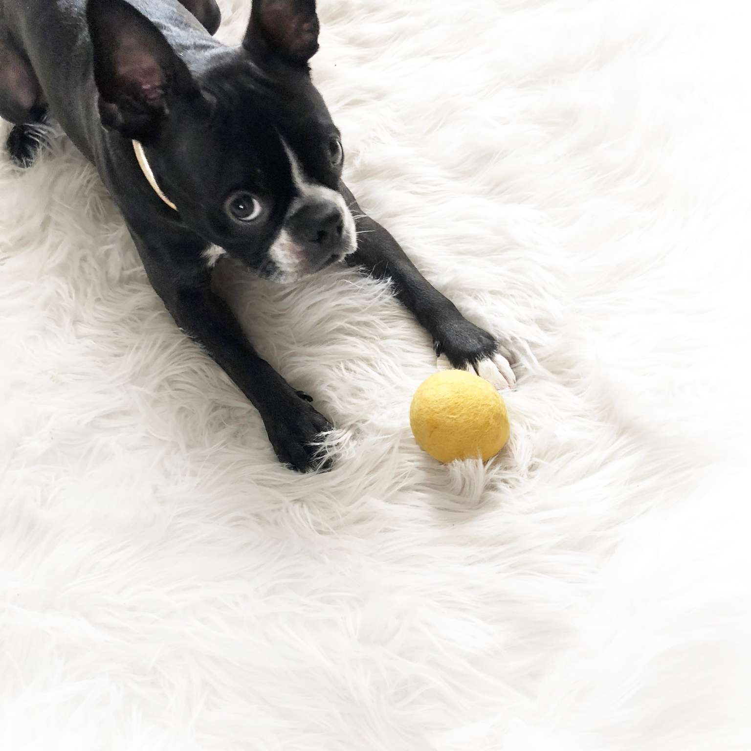 Mochi Felt Toy
