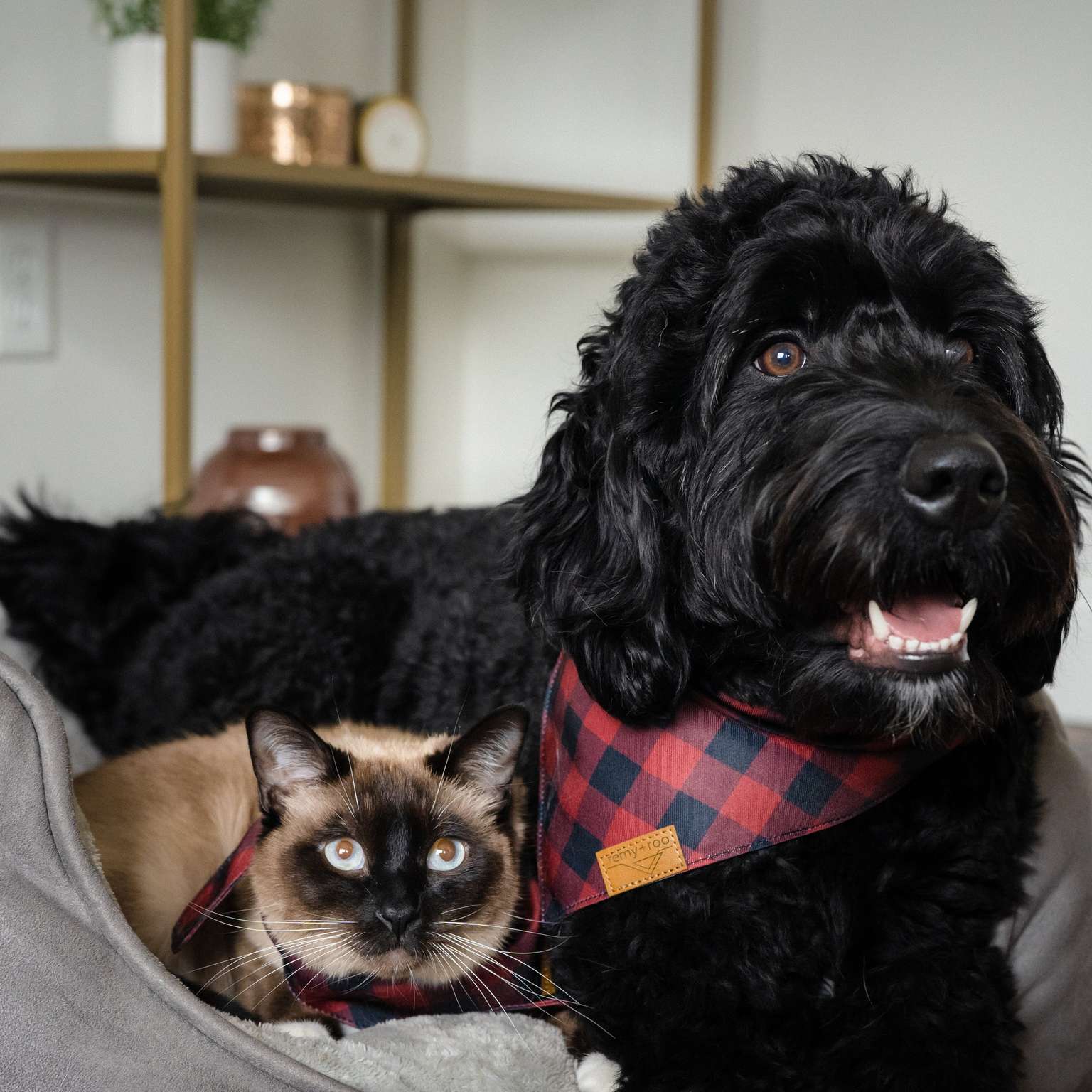 Buffalo Plaid