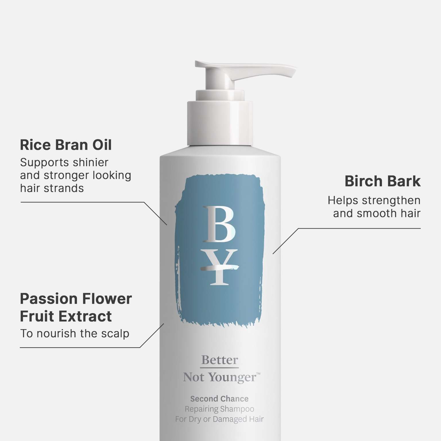 Frizz Bundle