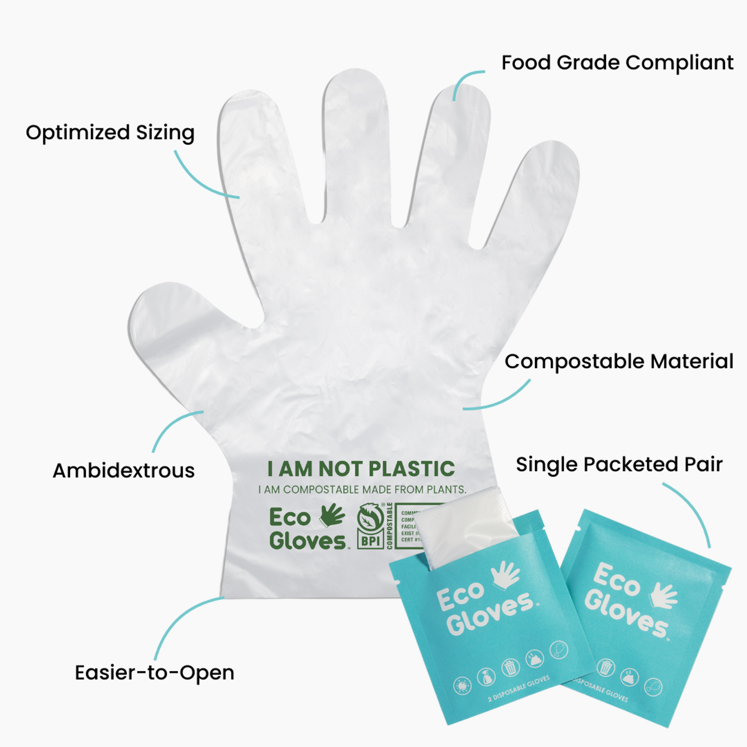 Disposable Gloves