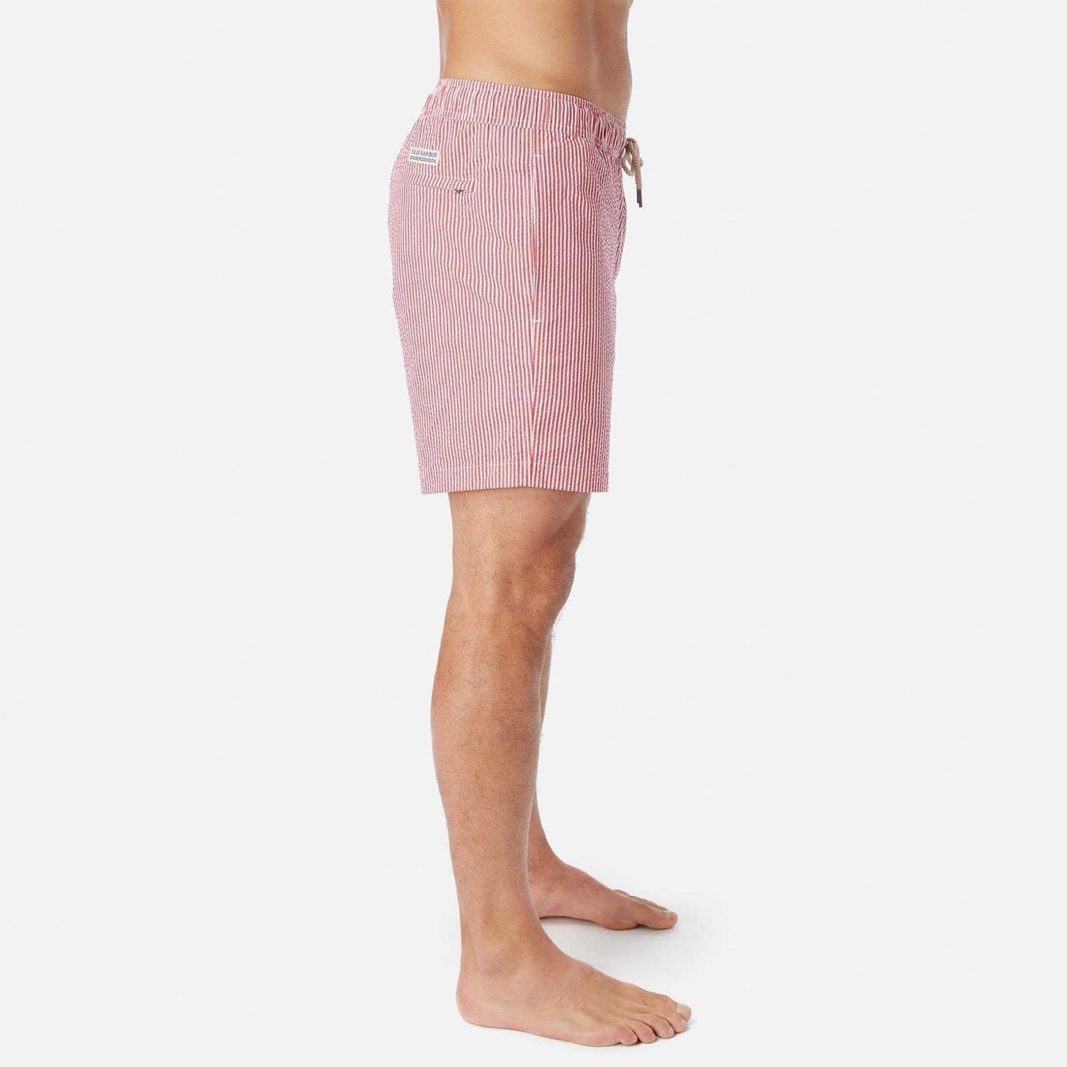 The Bayberry Trunk