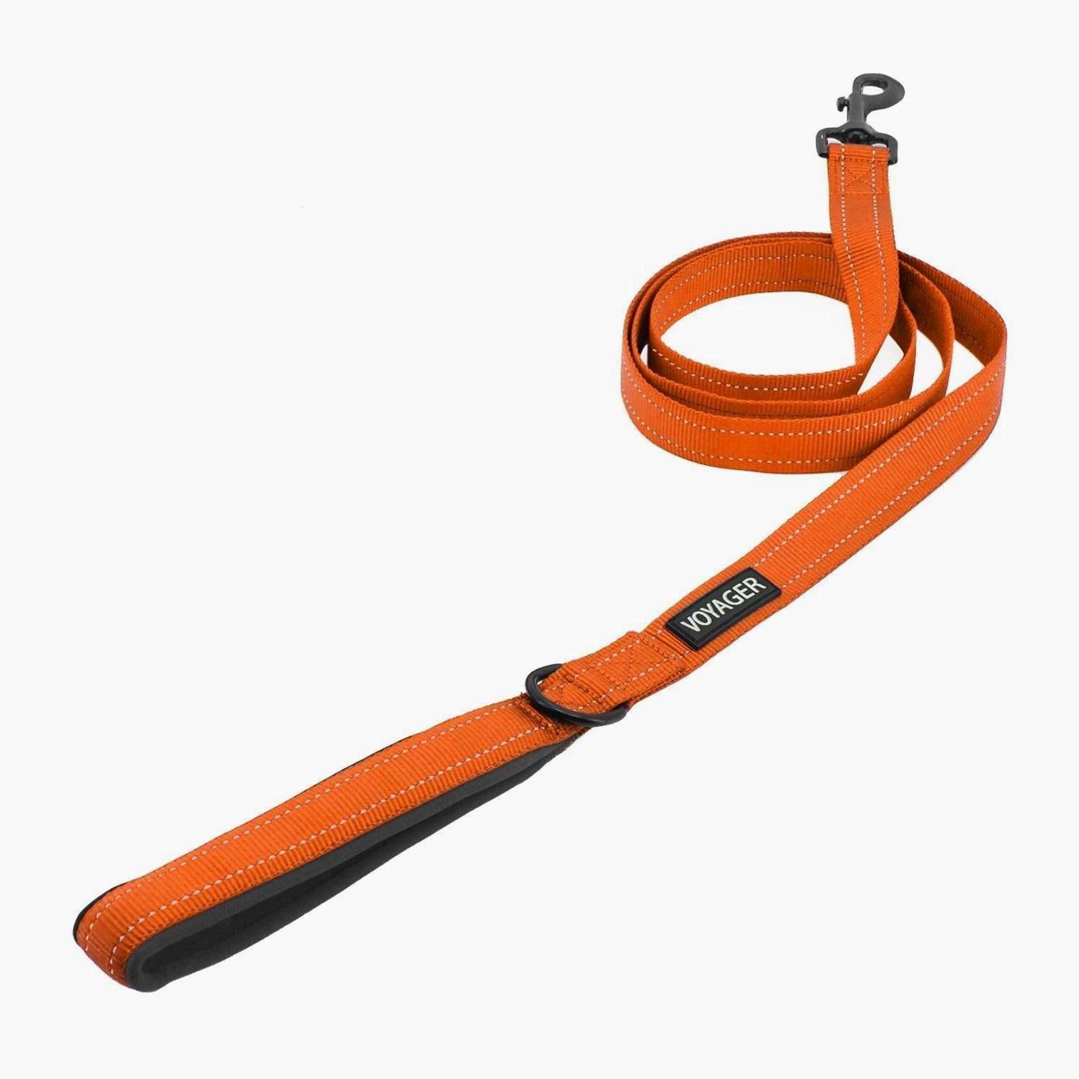 Halloween Reflective Pet Leash