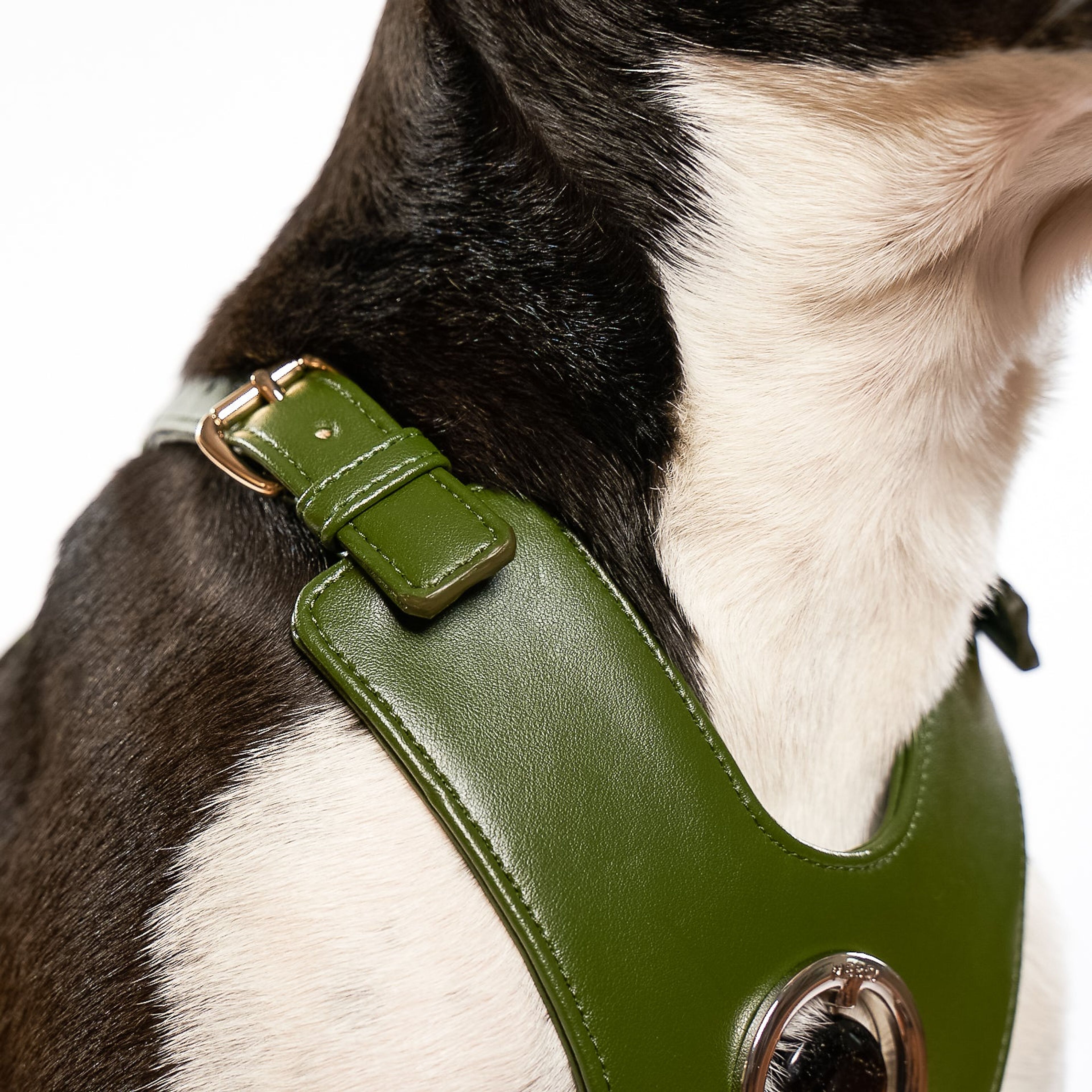Good Vibration Dog Harness - Nopal Green