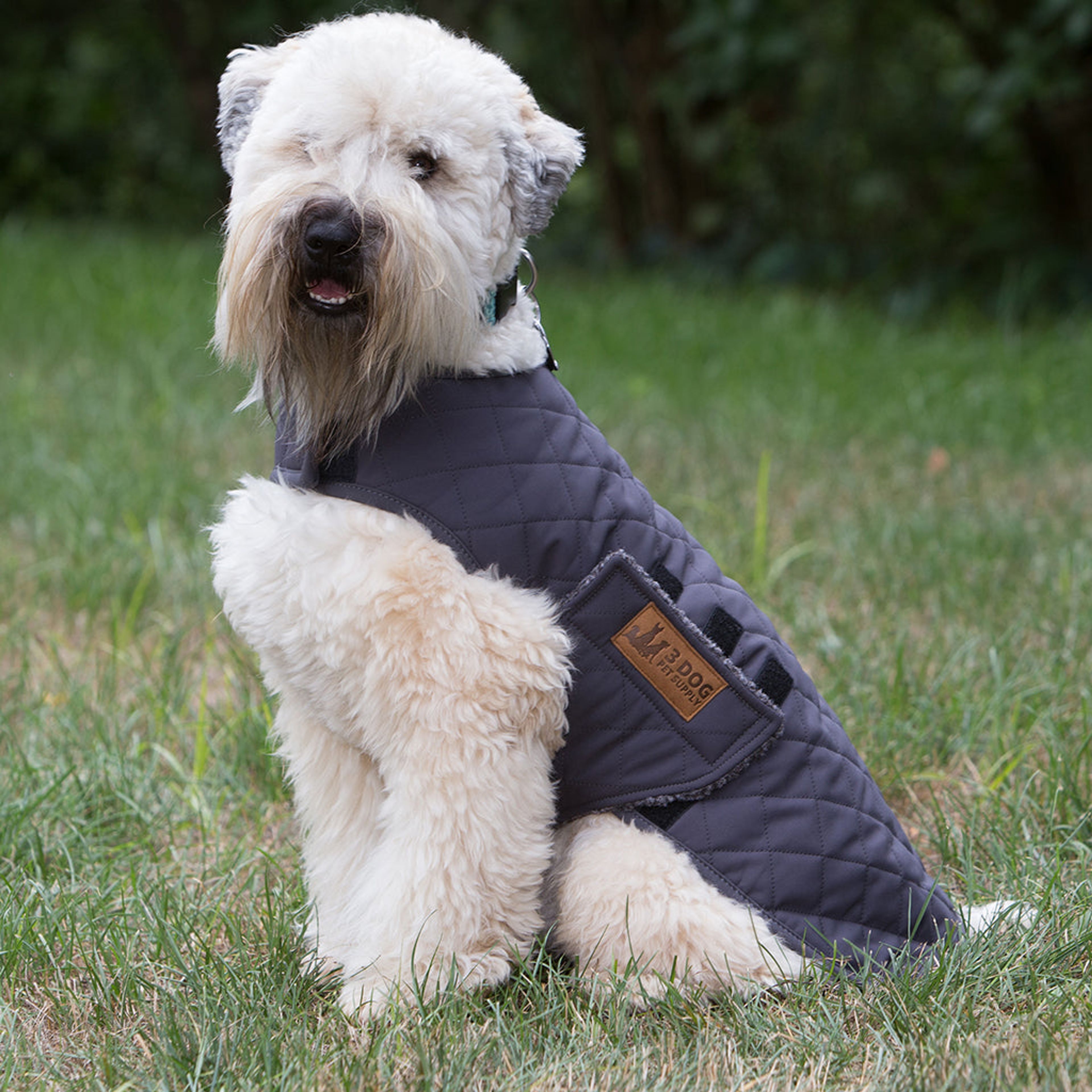Weatherproof Quilted Dog Jacket, Free Personalization