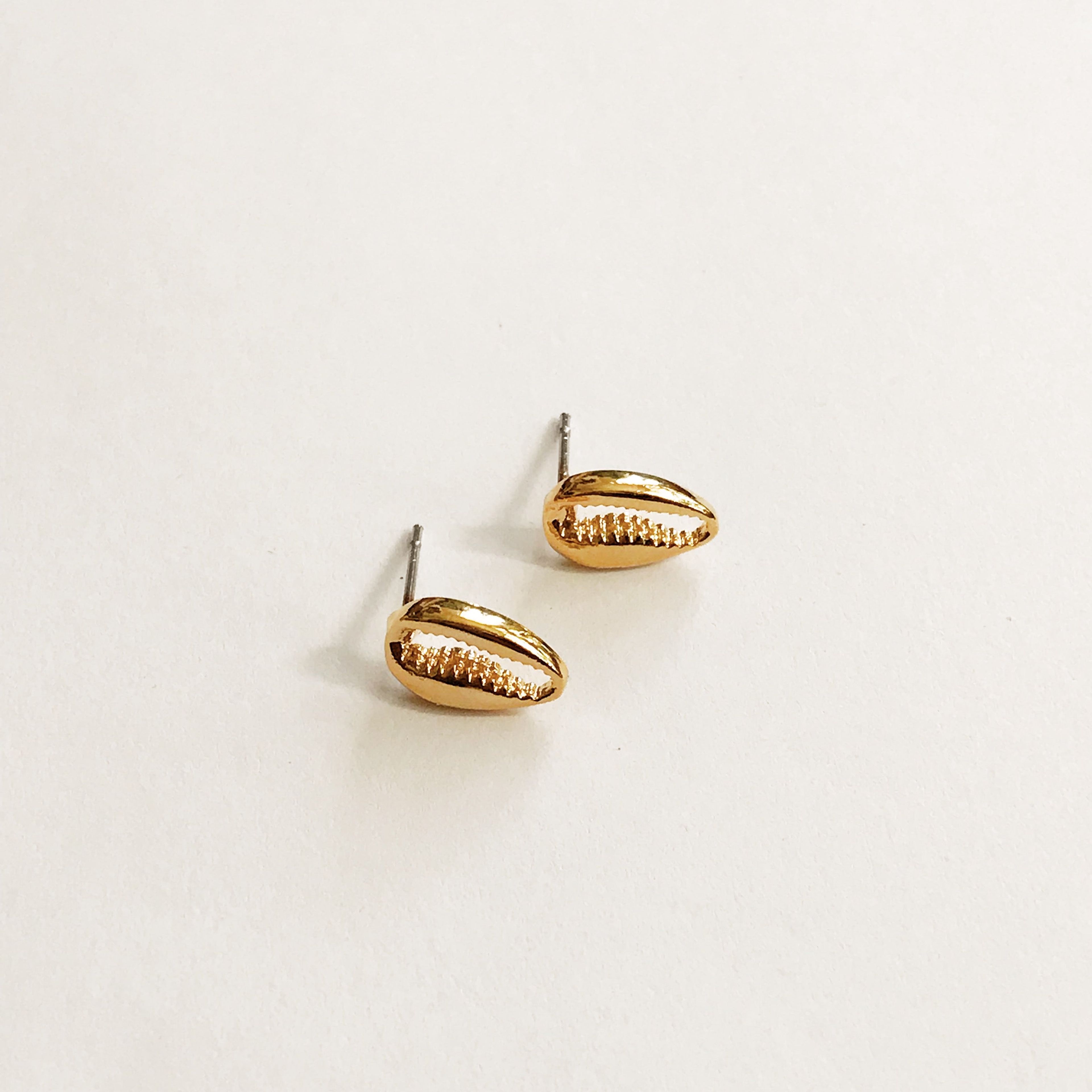 Tiny Cowrie Shell Studs