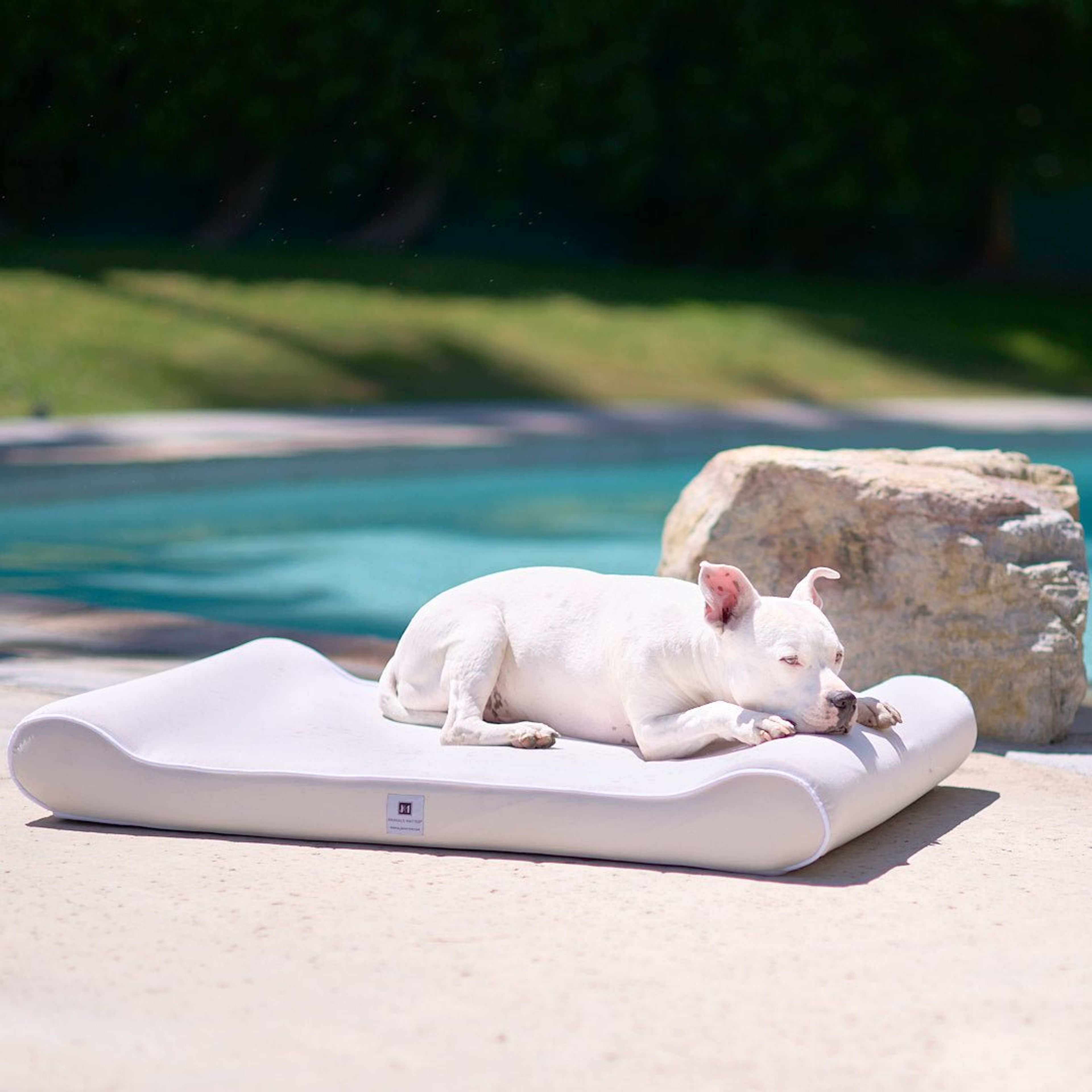 Raine Outdoor Ortho Companion-Pedic Contour Lounger with Waterproof Cover