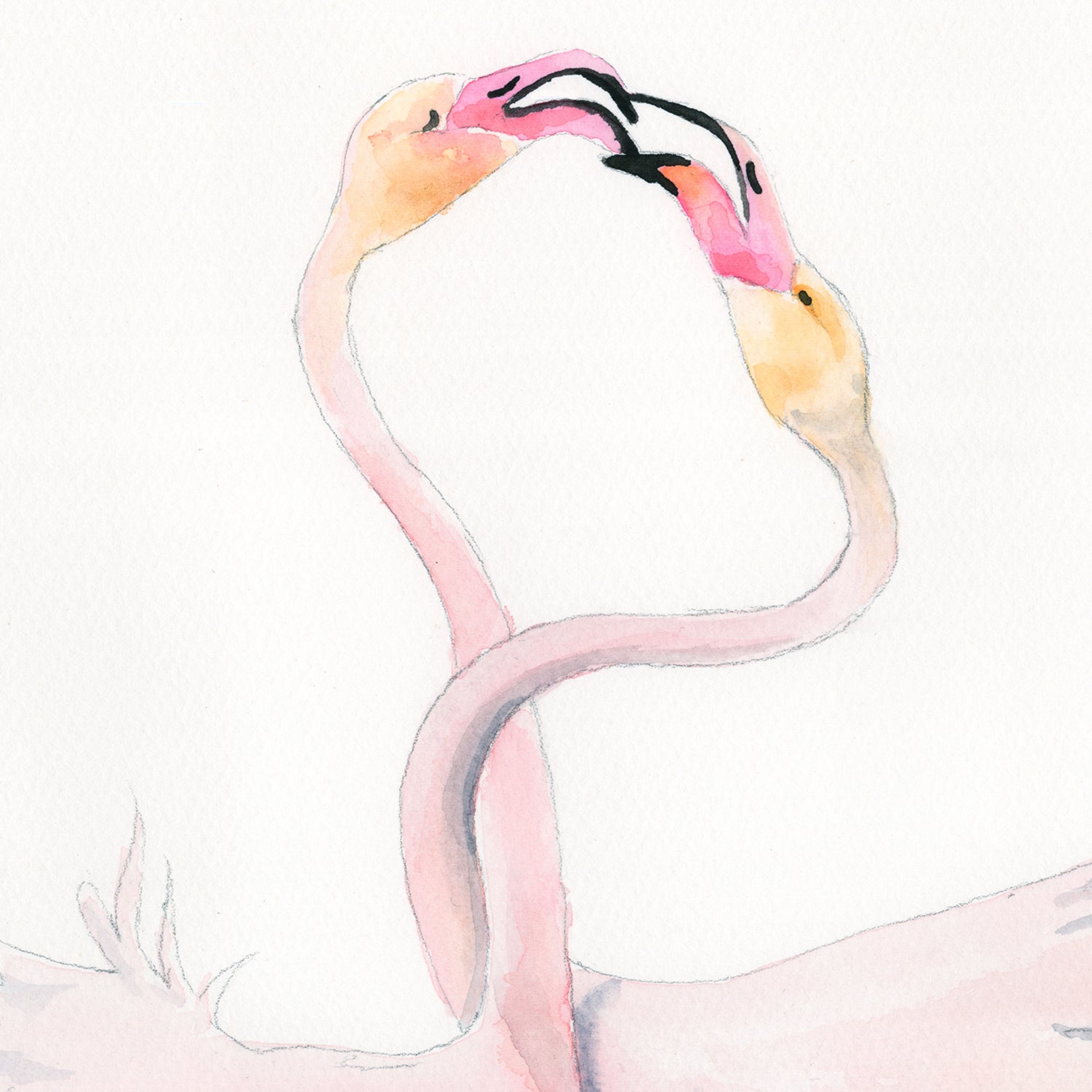 Kissing Flamingos - Fine Art Print