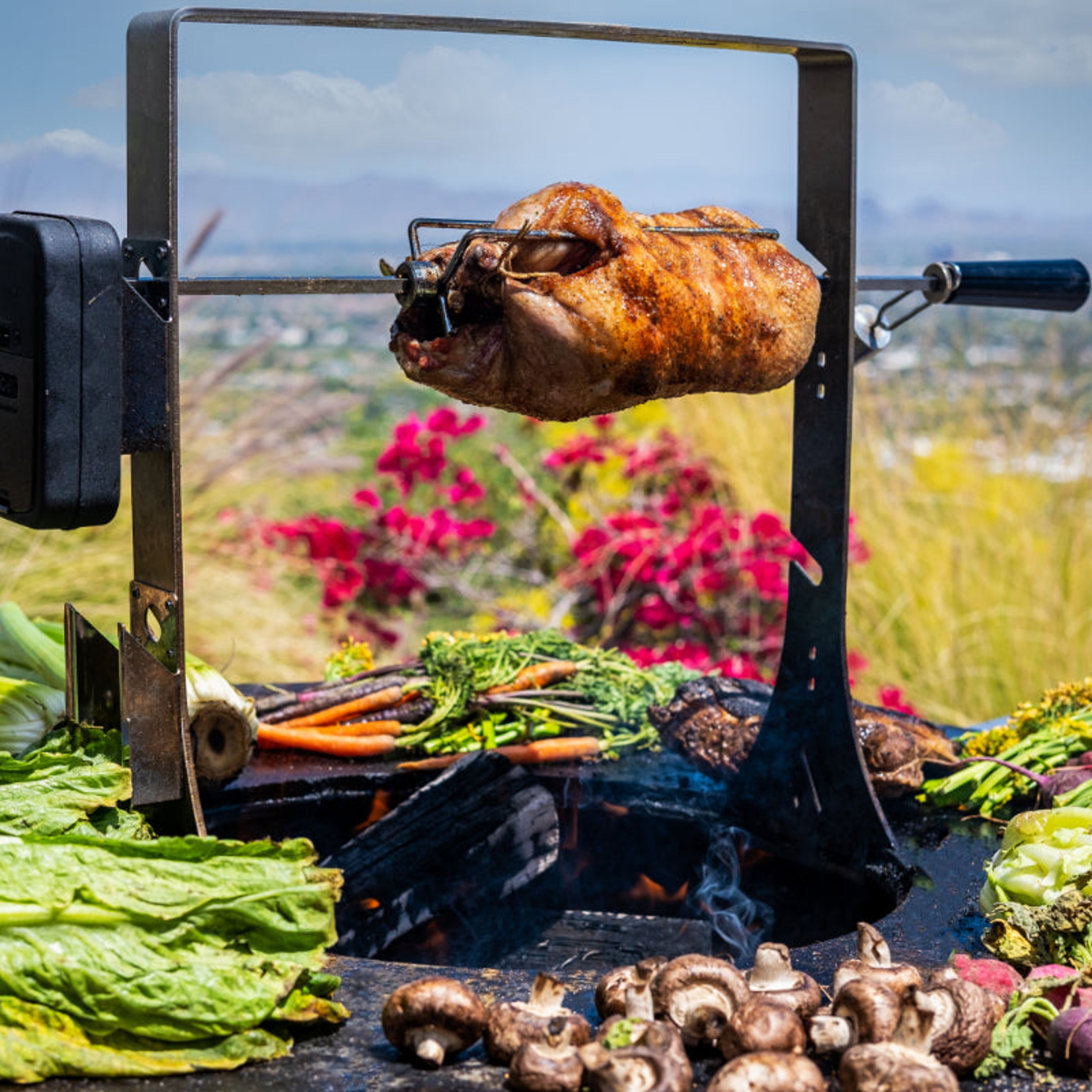 Arteflame 20 Rotisserie Kit - Enhance Your Grill with Versatile Cooking