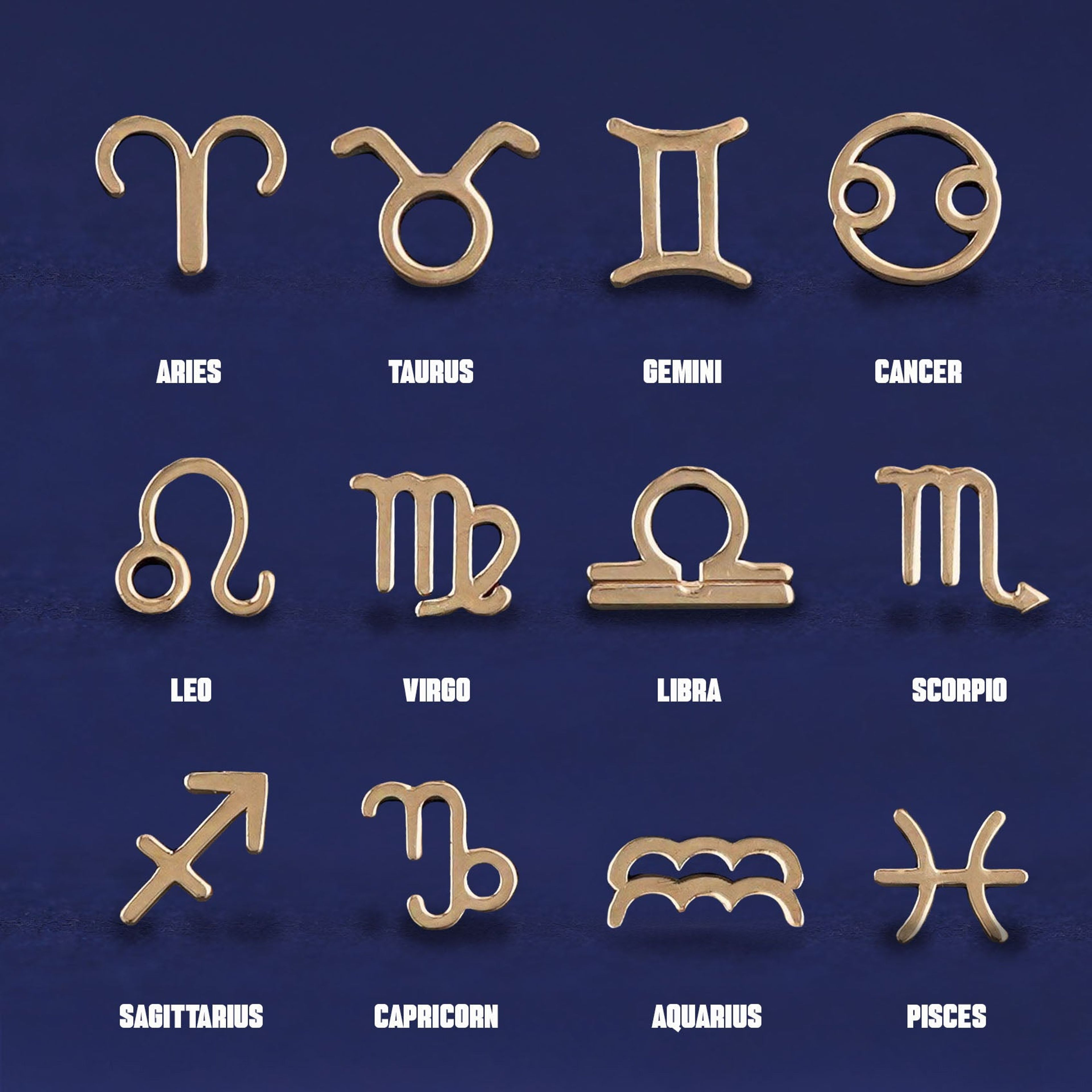 Horoscope Earring