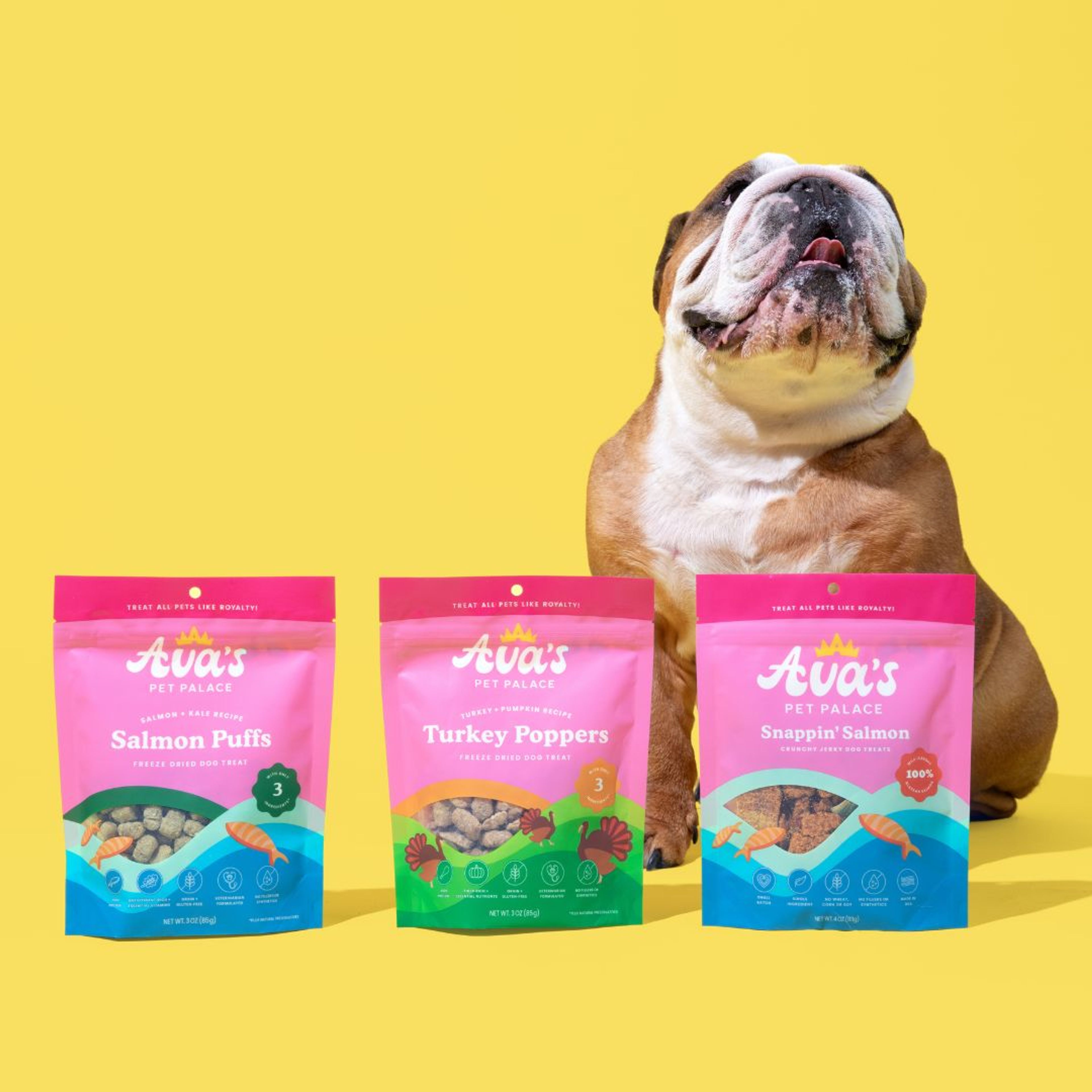 Protein Dog Treat Bundle 3 Flavors