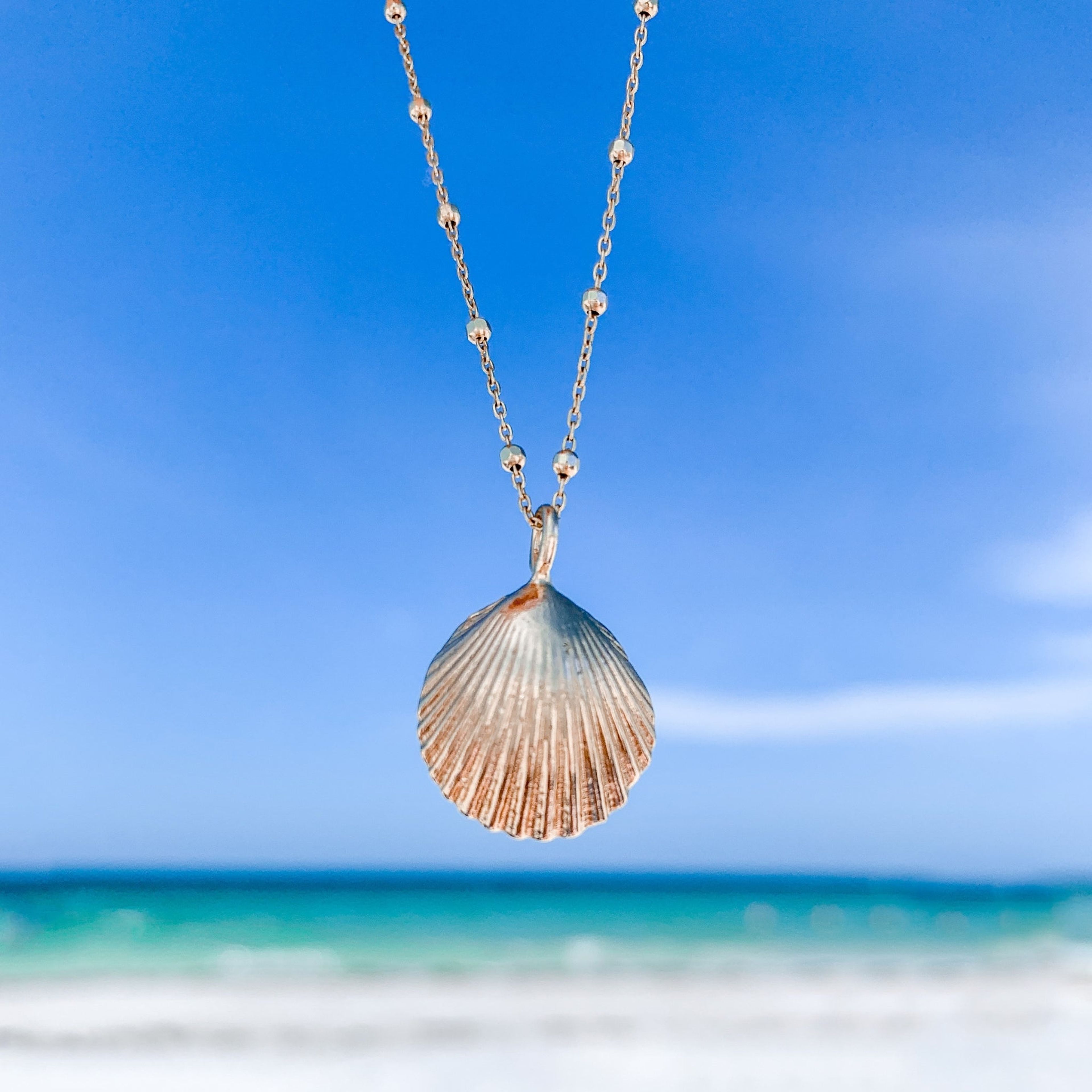 Seashell Necklace | Large | Solid 14k Gold