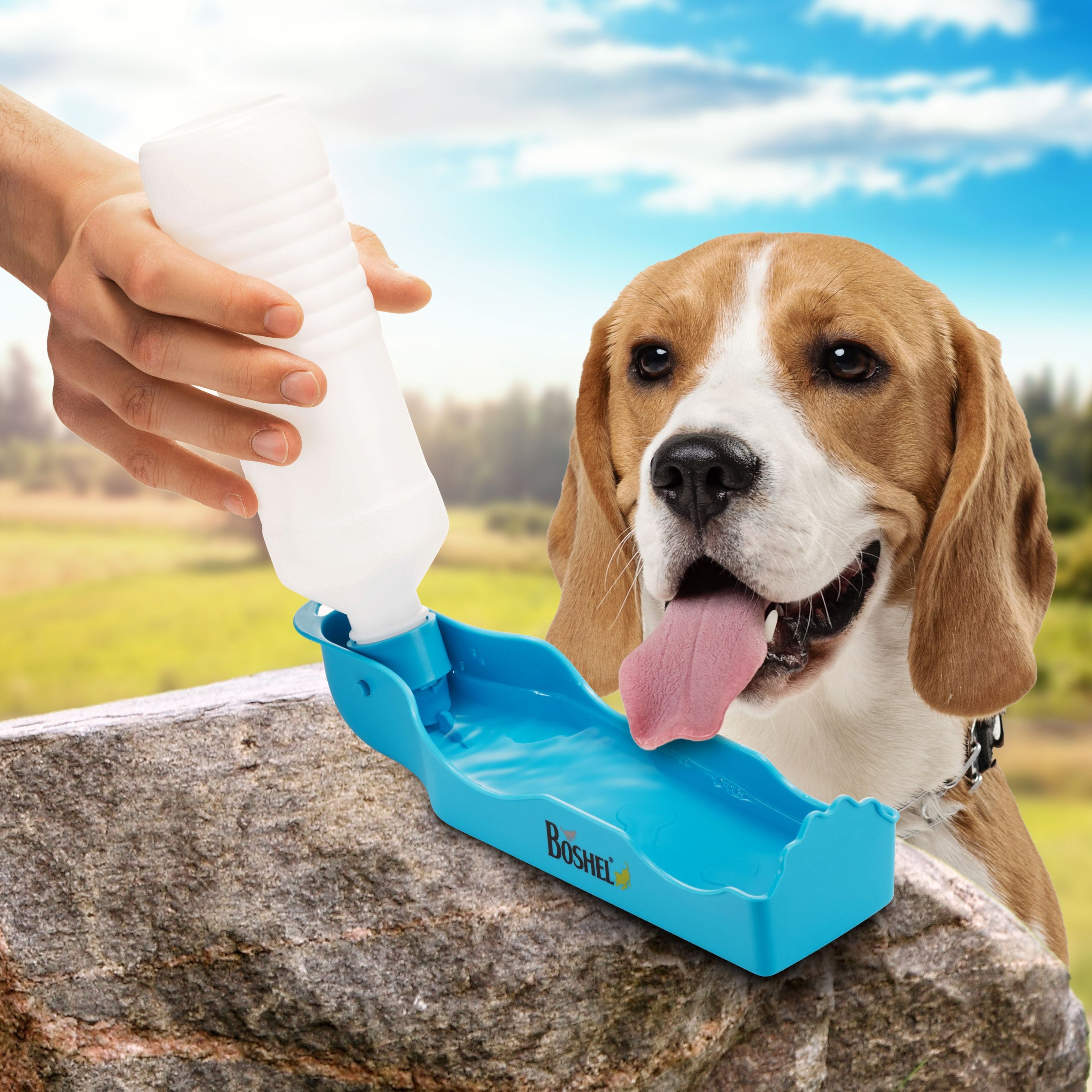 Dog Travel Water Bottle