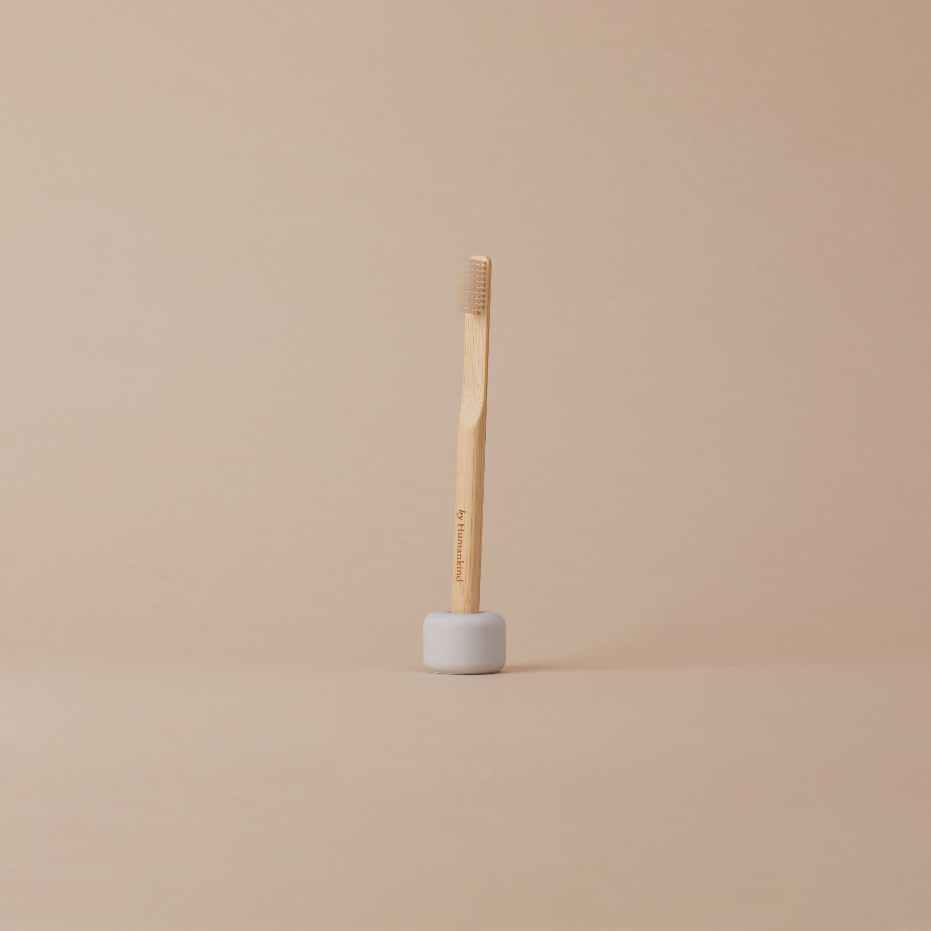 Toothbrush with Stand