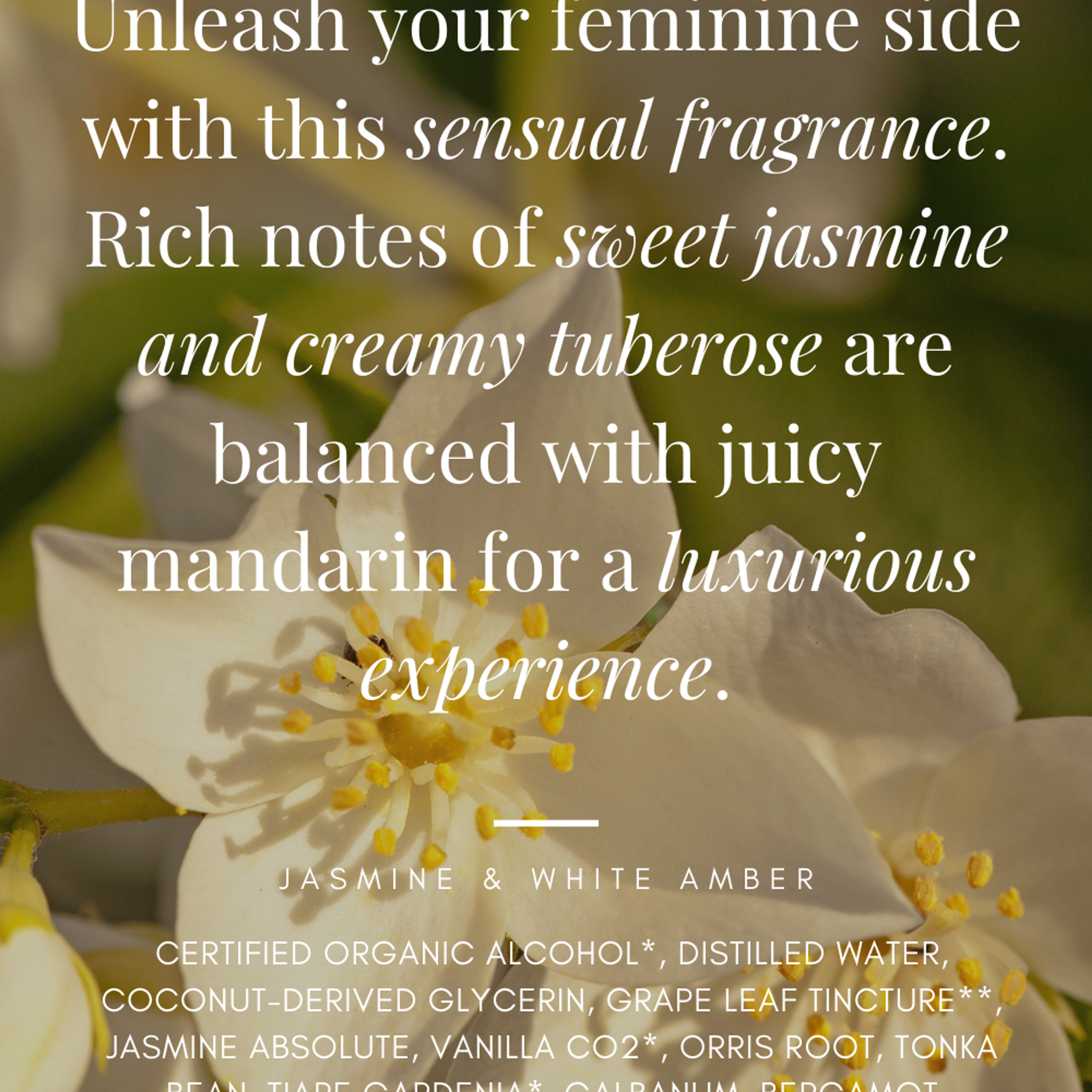Fresh & Floral Feminine Fragrance Bundle