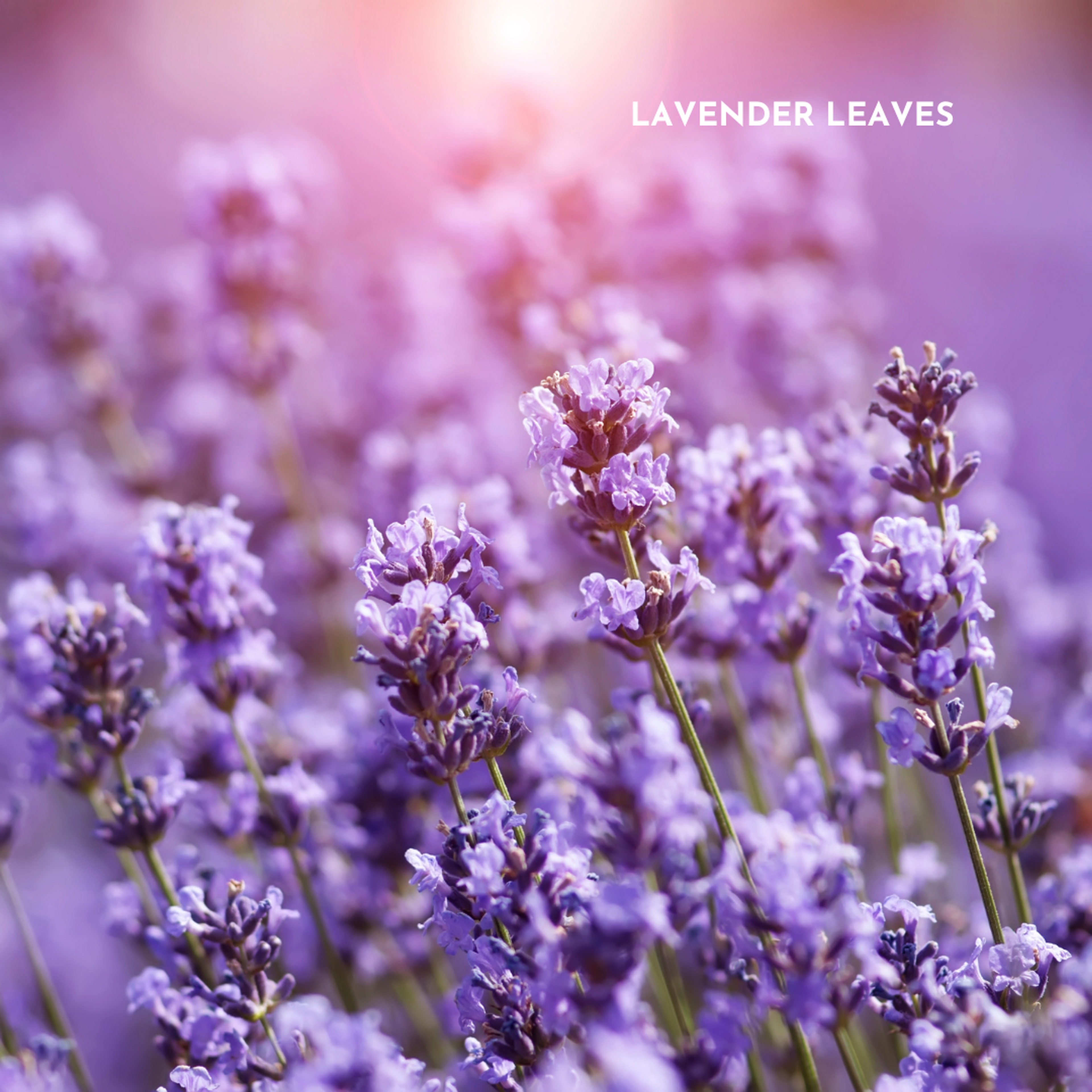 FlaxPack: Lavender & Flaxseed Hot & Cold Compress