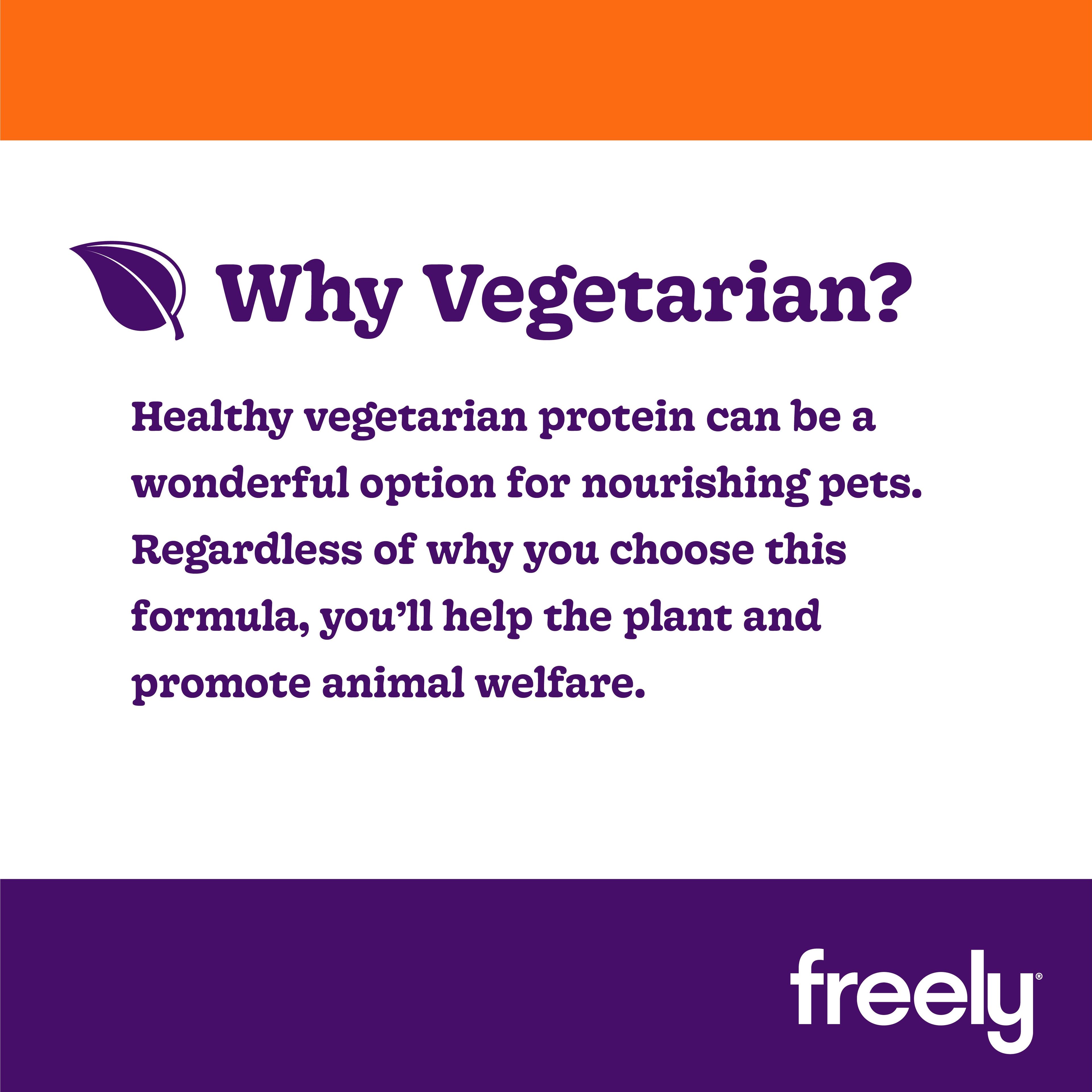 Grain-Free Wet Vegetarian Recipe for Adult Dogs