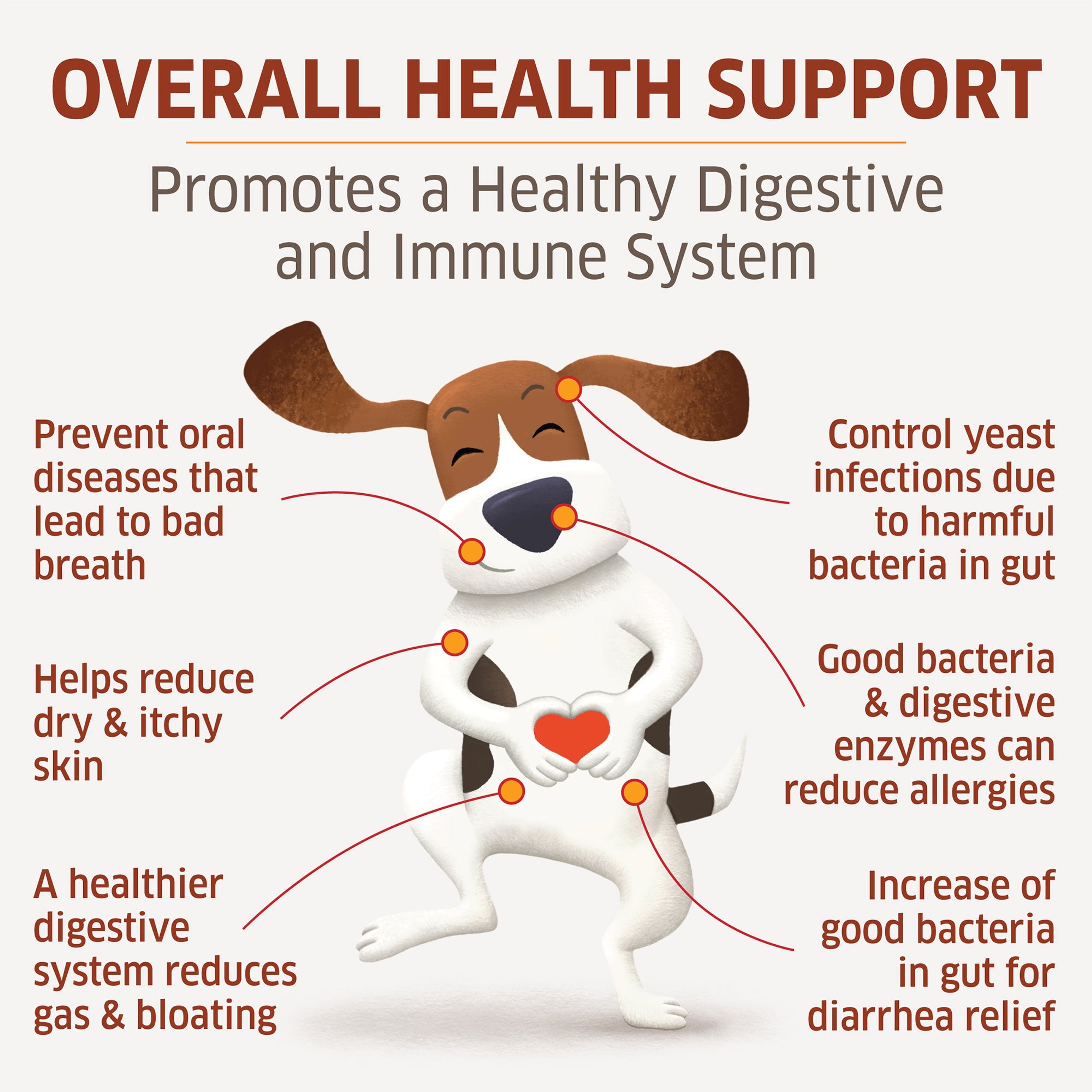 Probiotic Digestive Health