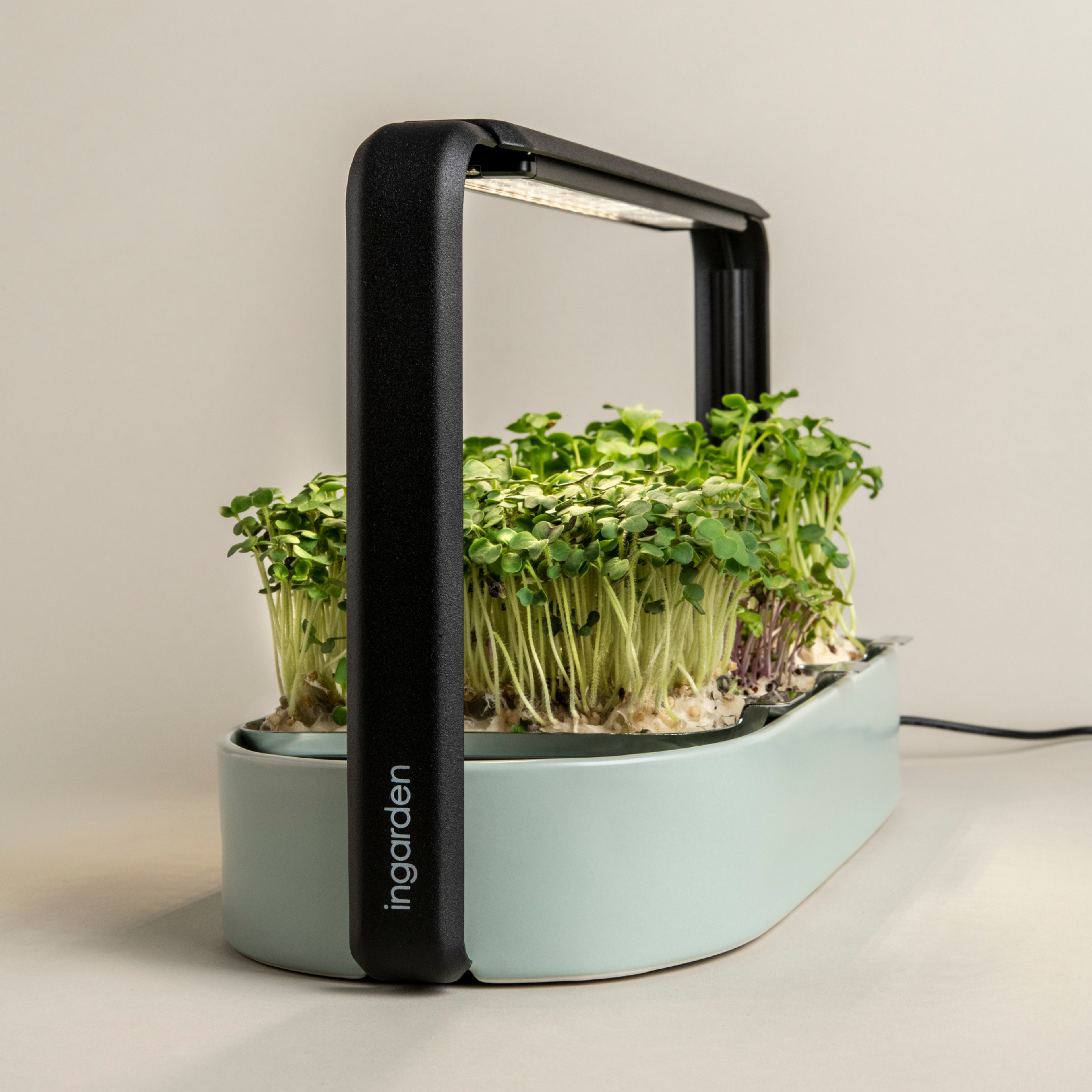 Modern Microgreens Kit with Grow Light